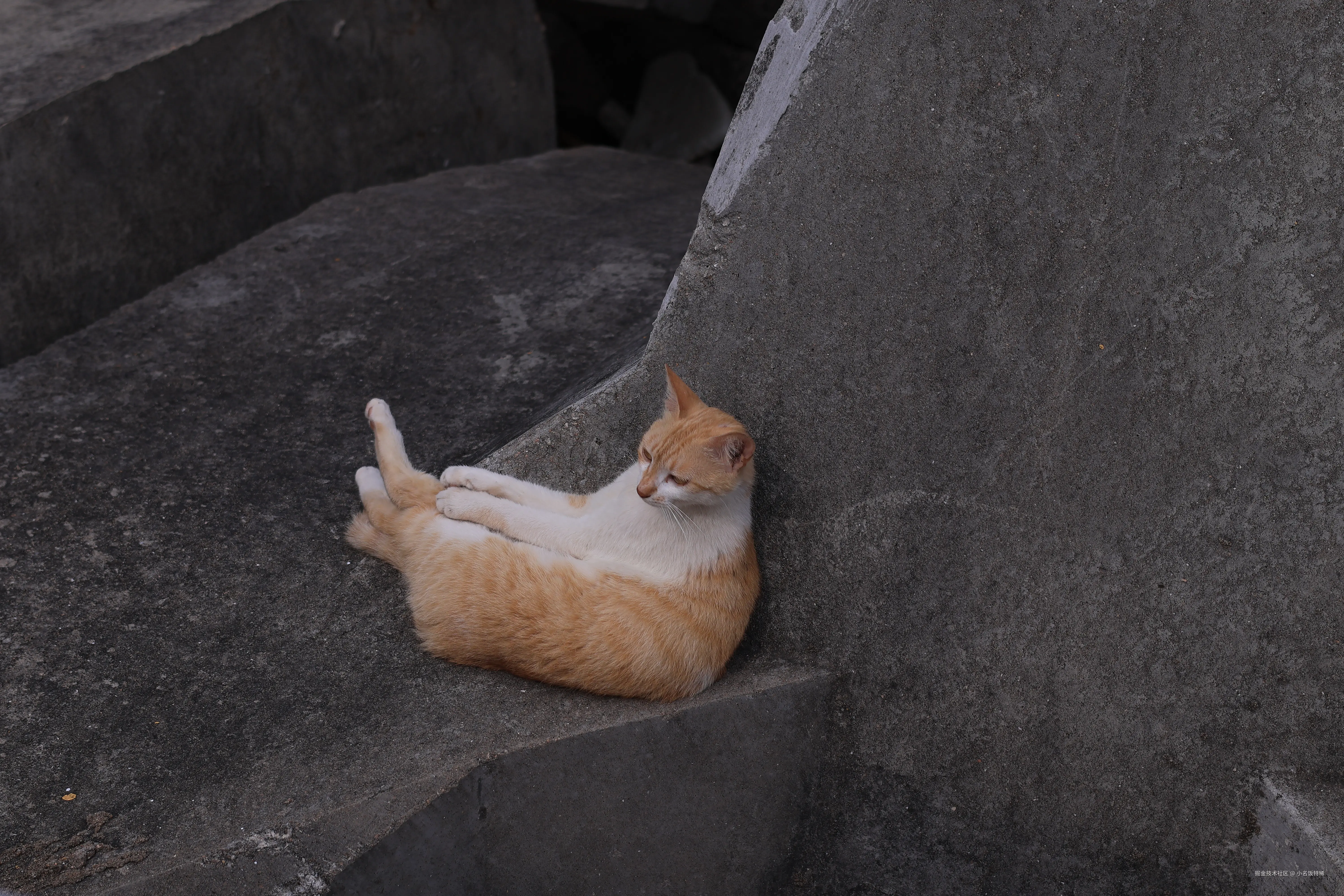 小名饭特稀于2025-05-12 11:14发布的图片