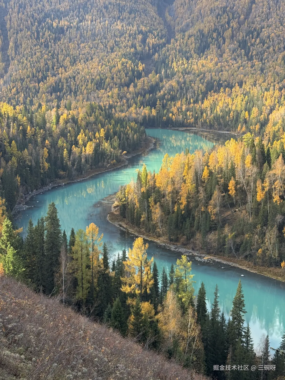 三碗呀于2025-10-22 13:55发布的图片