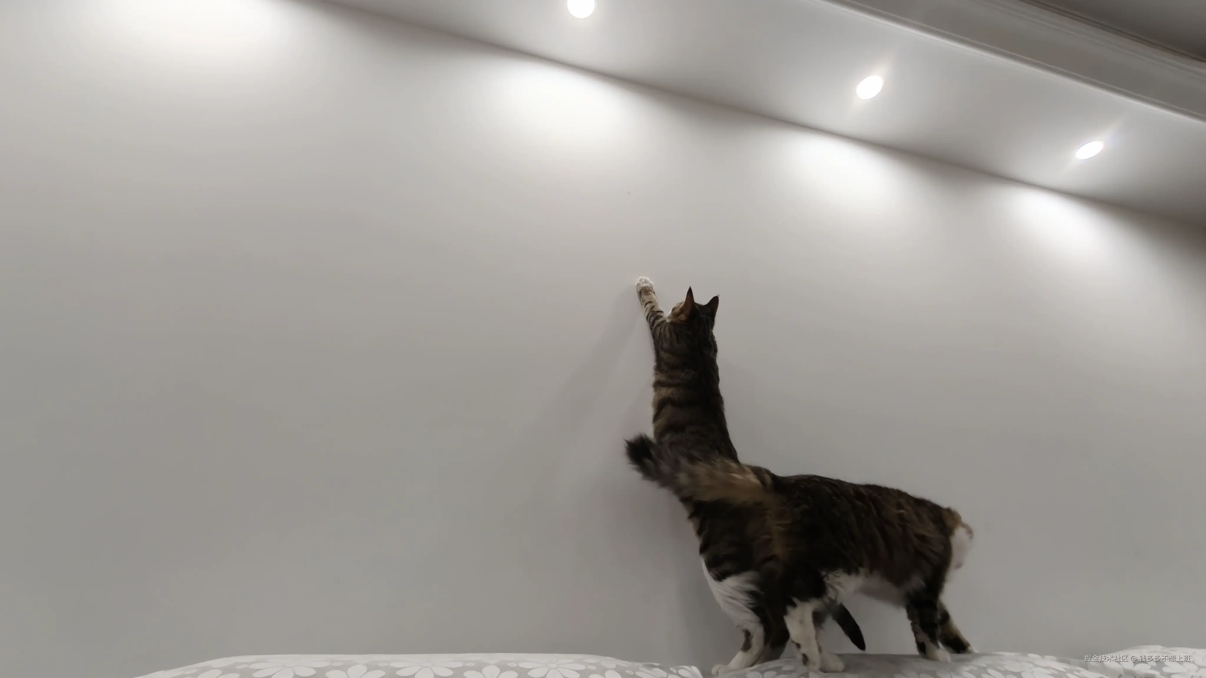 钱多多不想上班于2026-03-03 11:31发布的图片