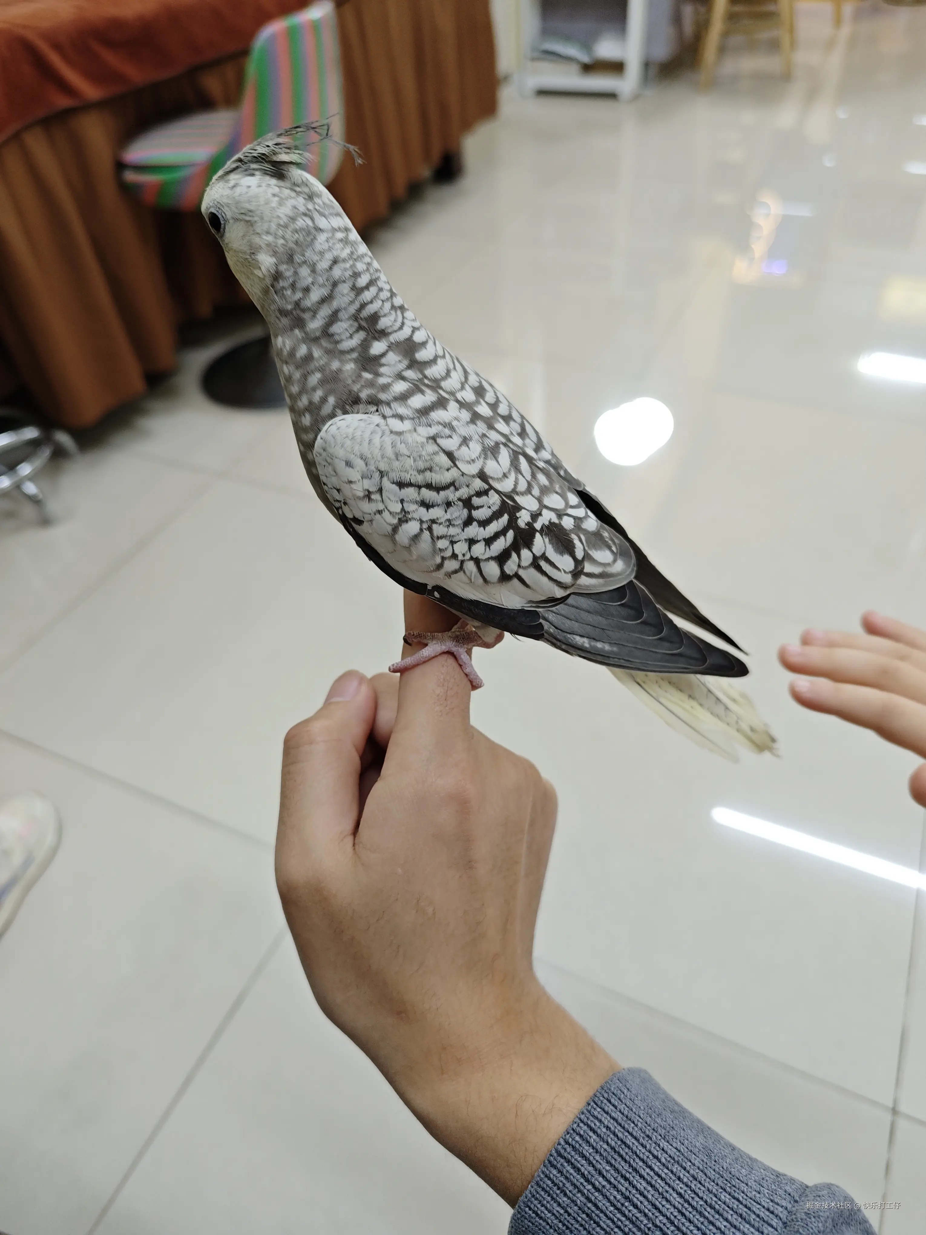 快乐打工仔于2024-12-20 12:32发布的图片