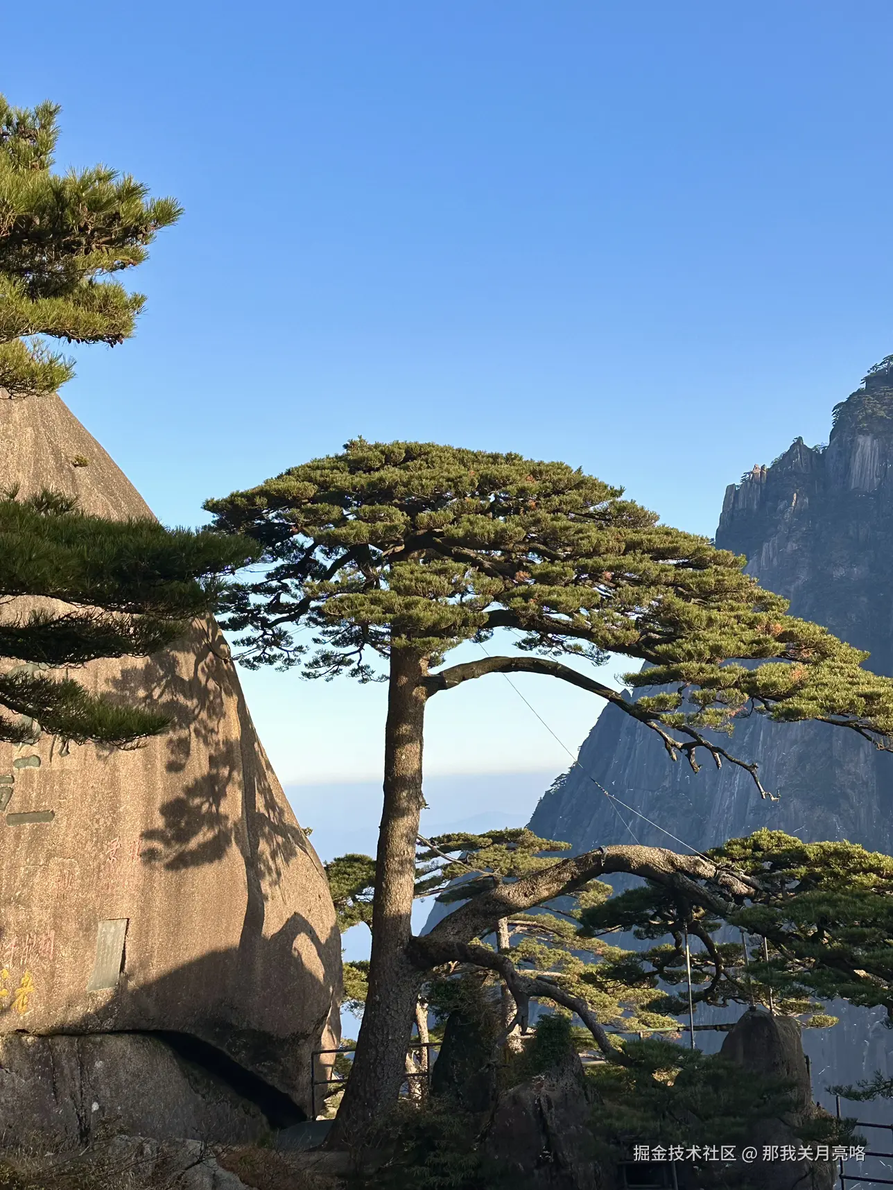 那我关月亮咯于2024-12-19 17:05发布的图片