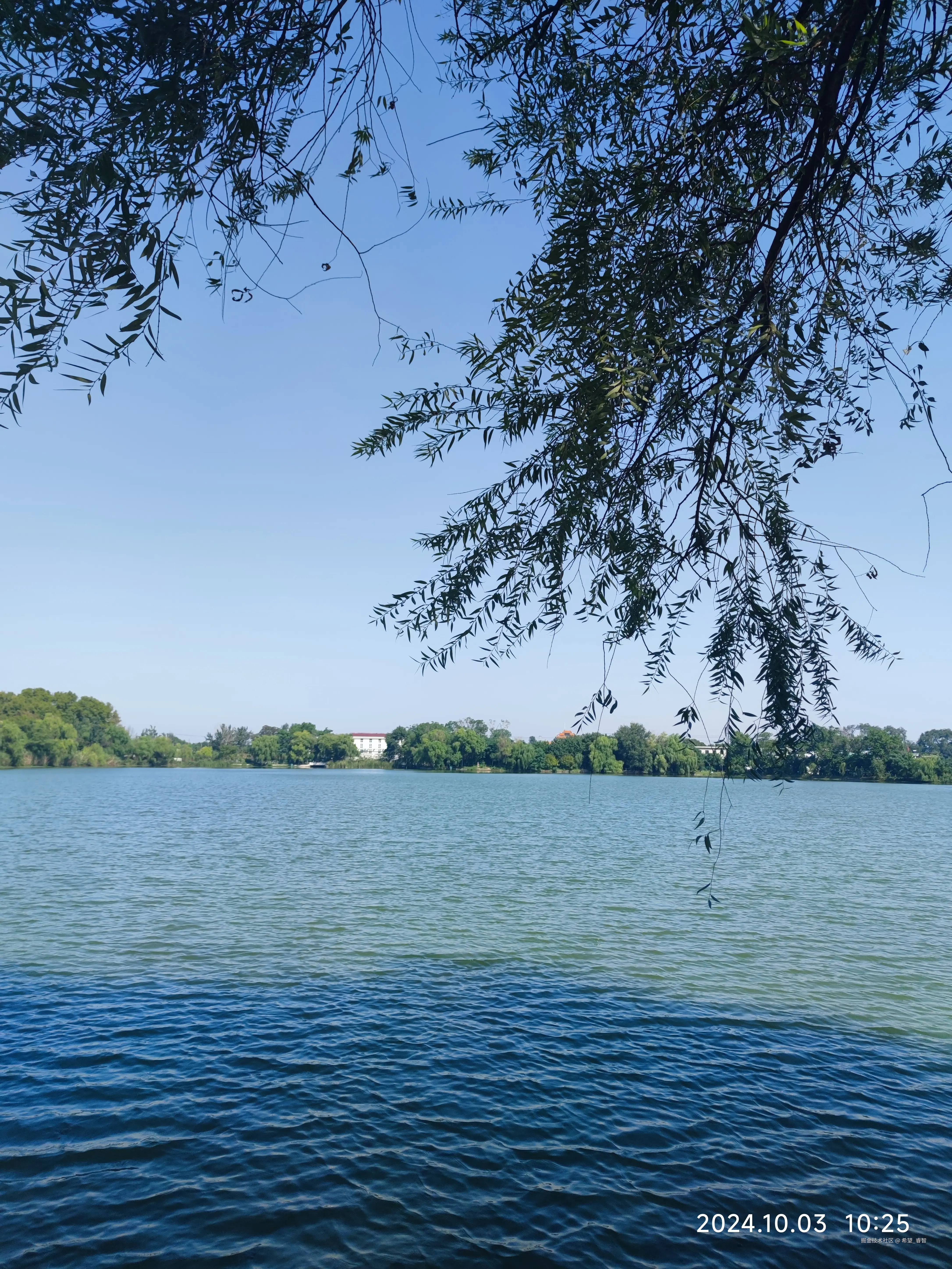 希望_睿智于2024-10-03 21:52发布的图片