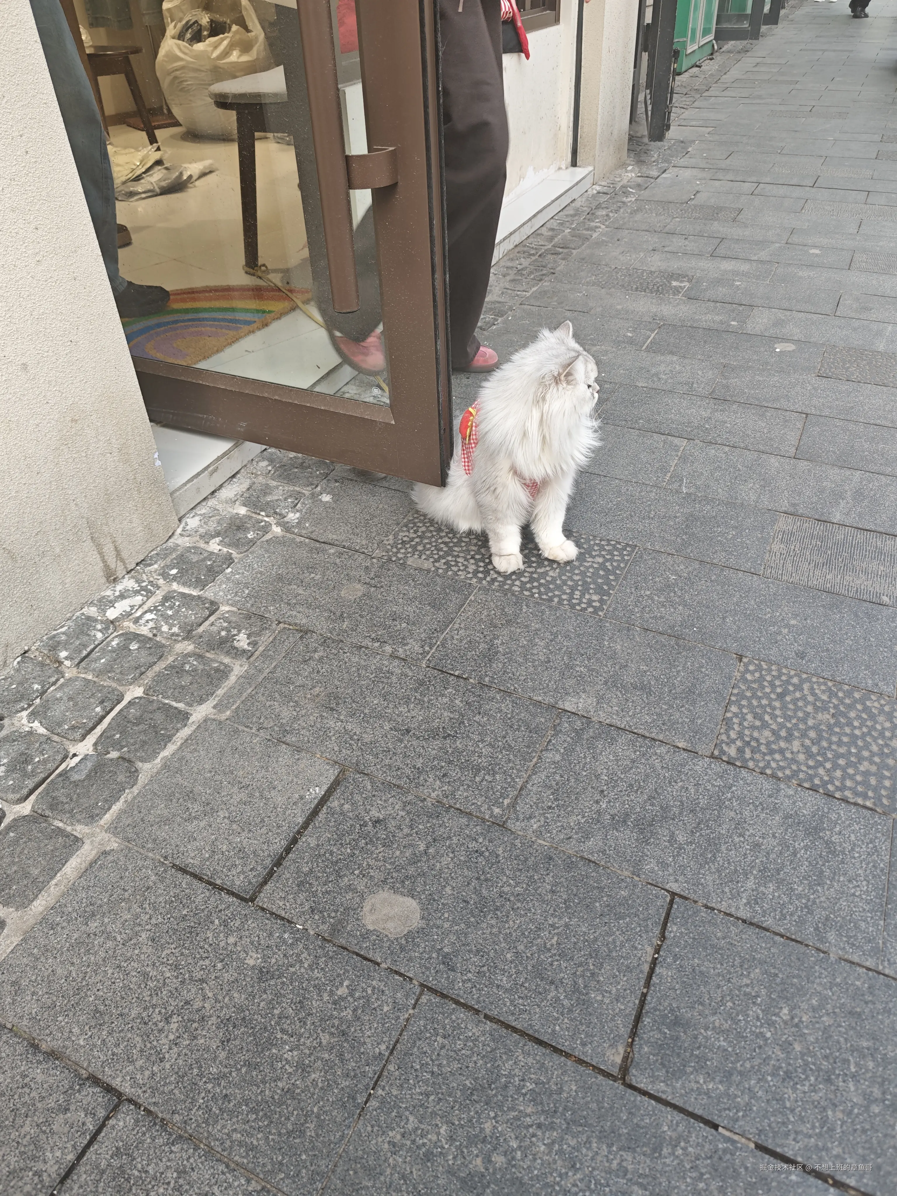 不想上班的章鱼哥于2025-04-21 09:15发布的图片