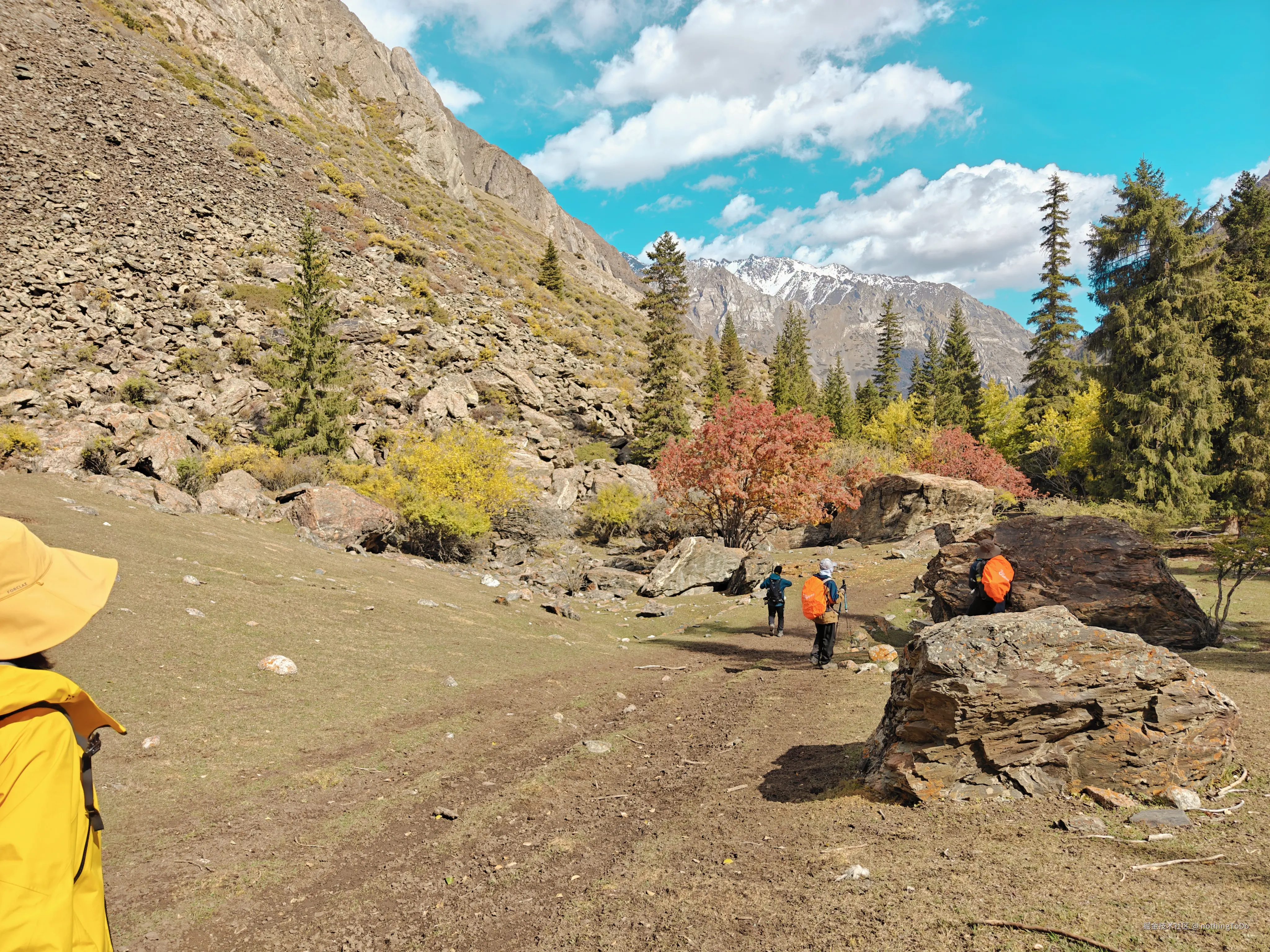 nothingToDo于2025-04-10 14:59发布的图片