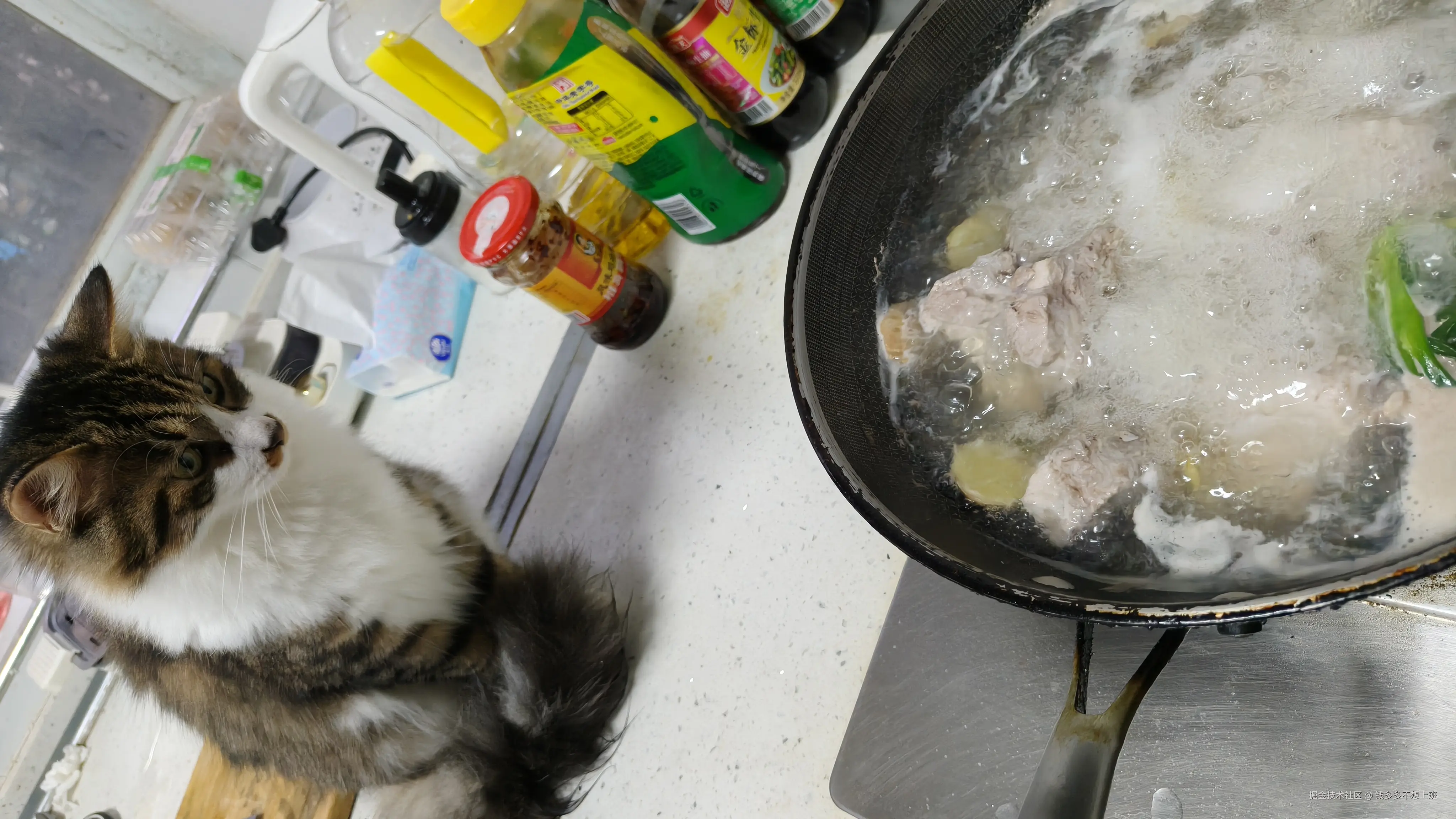 钱多多不想上班于2025-11-10 14:01发布的图片