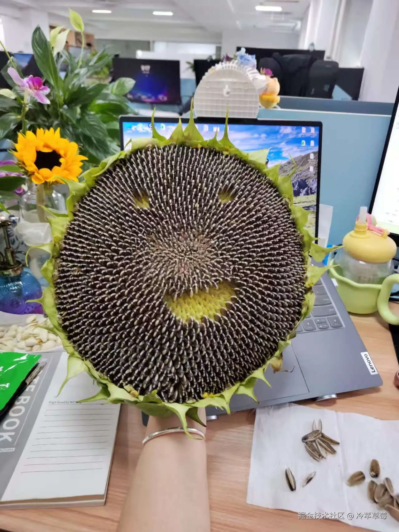 冷萃草莓于2025-07-15 01:33发布的图片