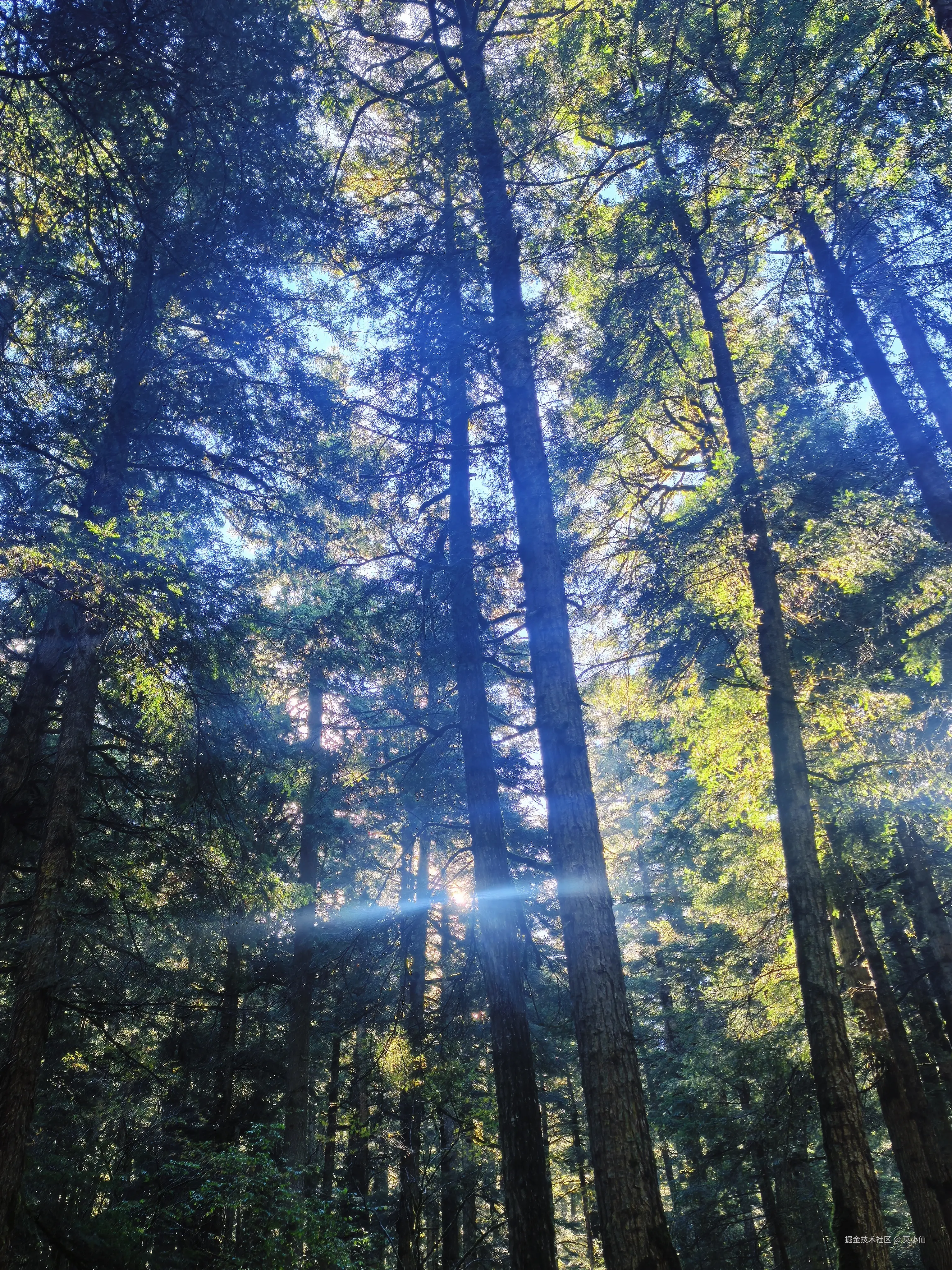 莫小仙于2025-10-09 10:54发布的图片