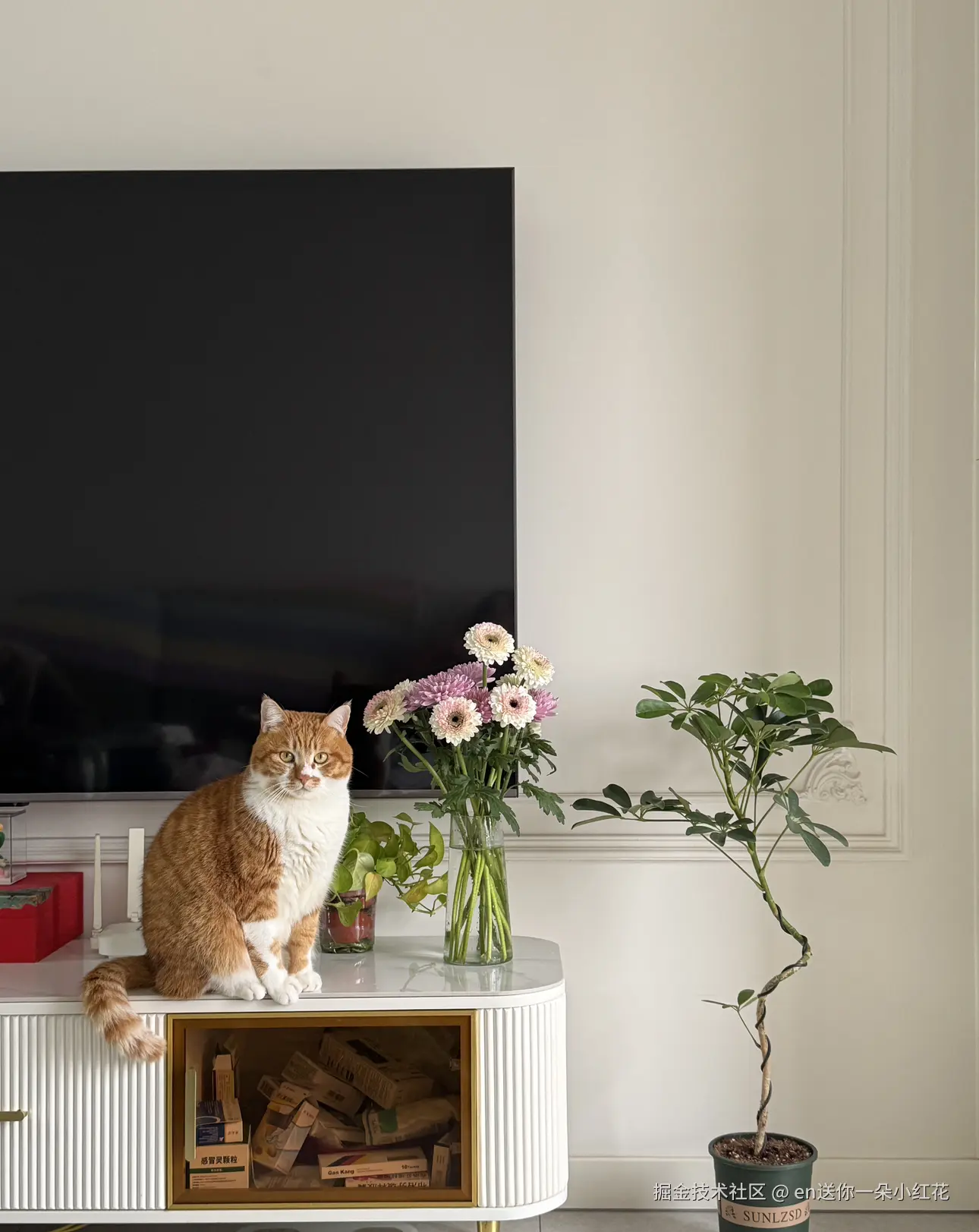 en送你一朵小红花于2026-01-15 09:31发布的图片