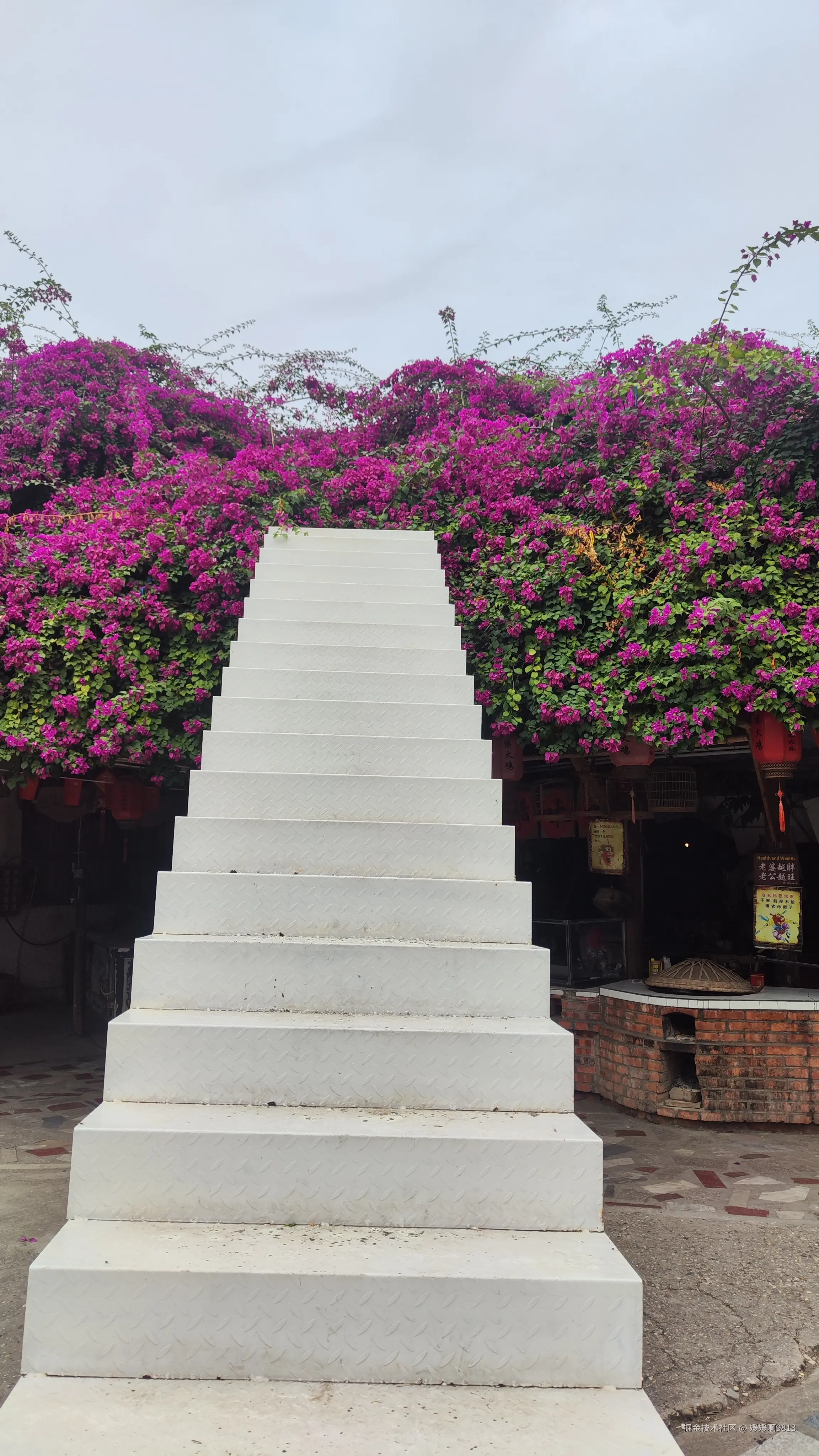 媛媛啊9813于2024-12-16 19:35发布的图片