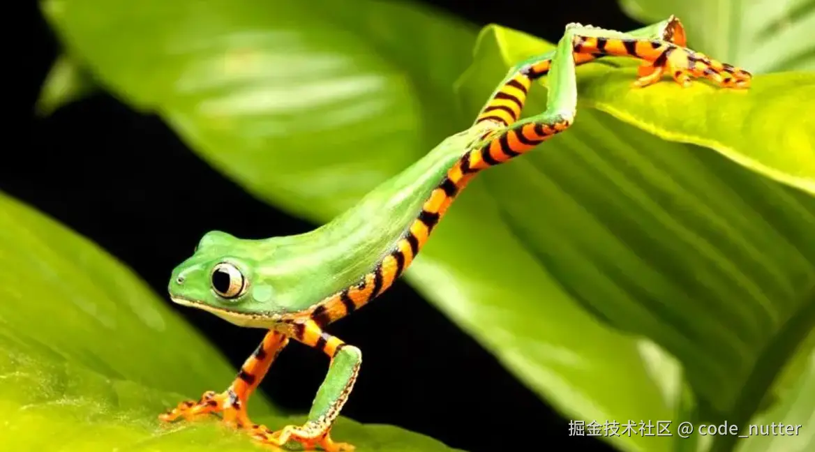 code_nutter于2024-10-30 16:44发布的图片