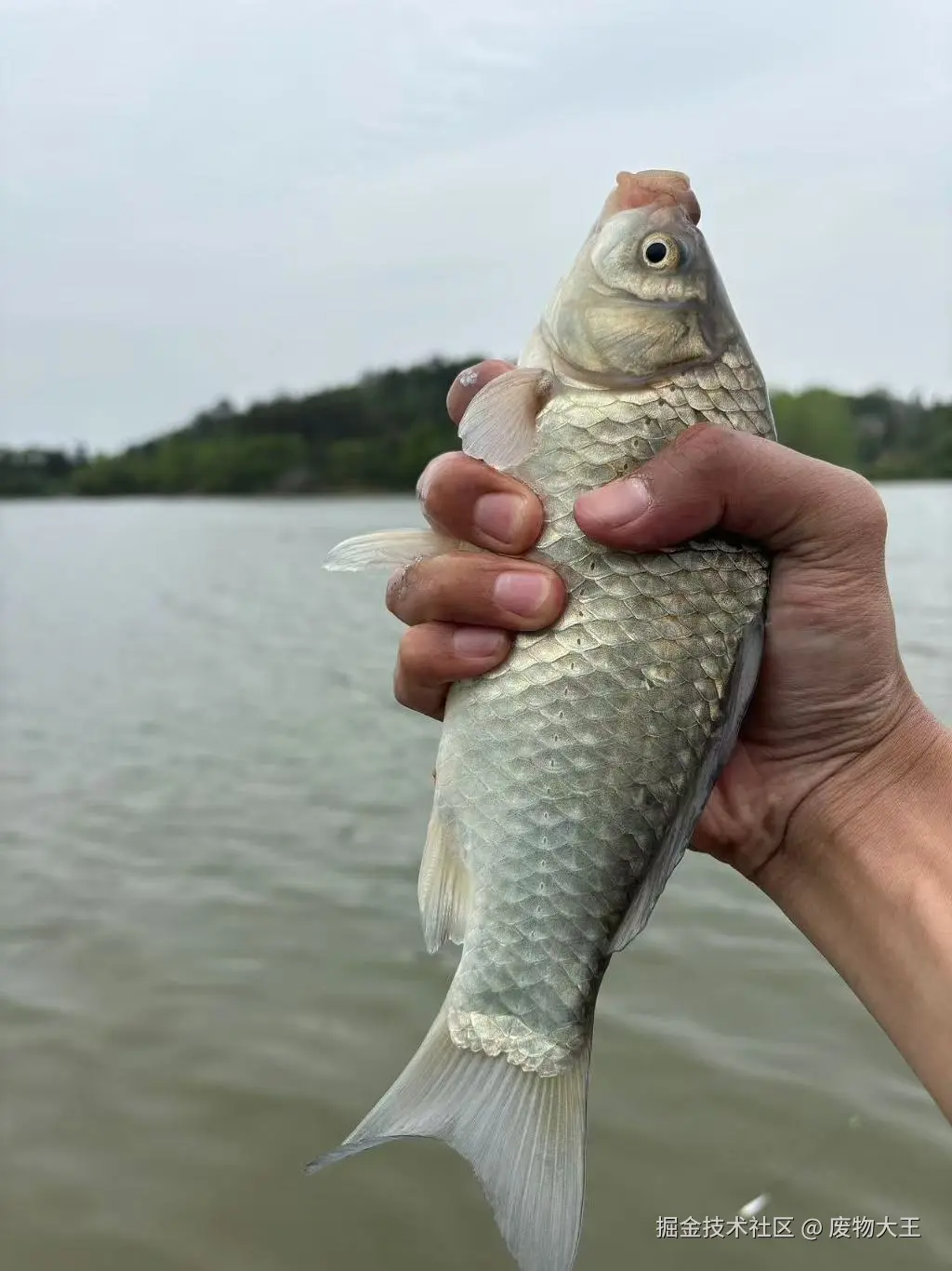 废物大王于2025-04-14 10:21发布的图片