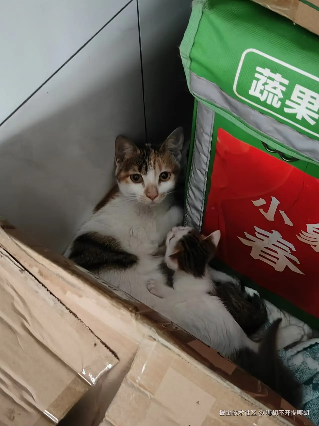 哪胡不开提哪胡于2024-11-27 13:43发布的图片