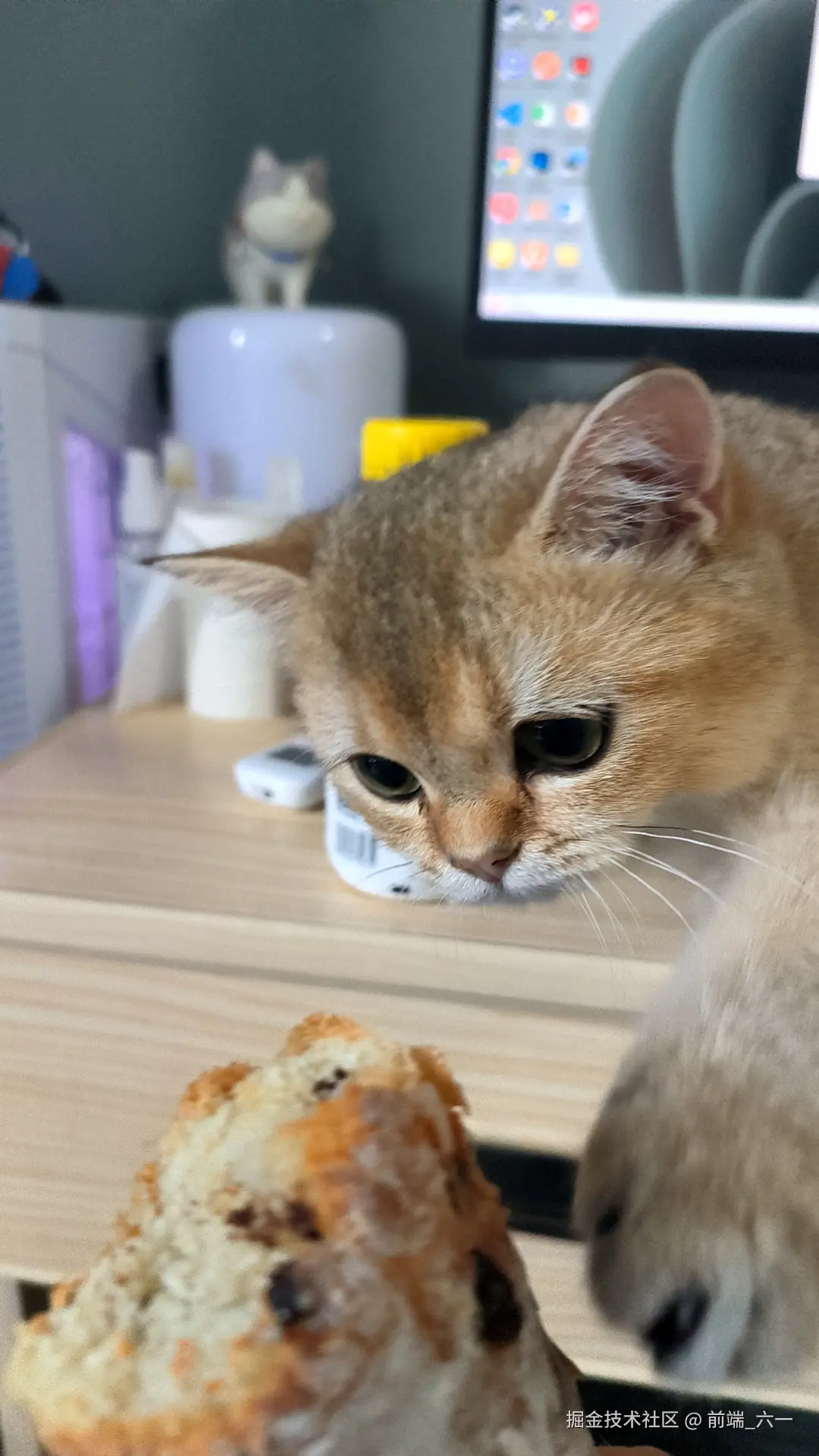 前端_六一于2024-09-30 12:10发布的图片