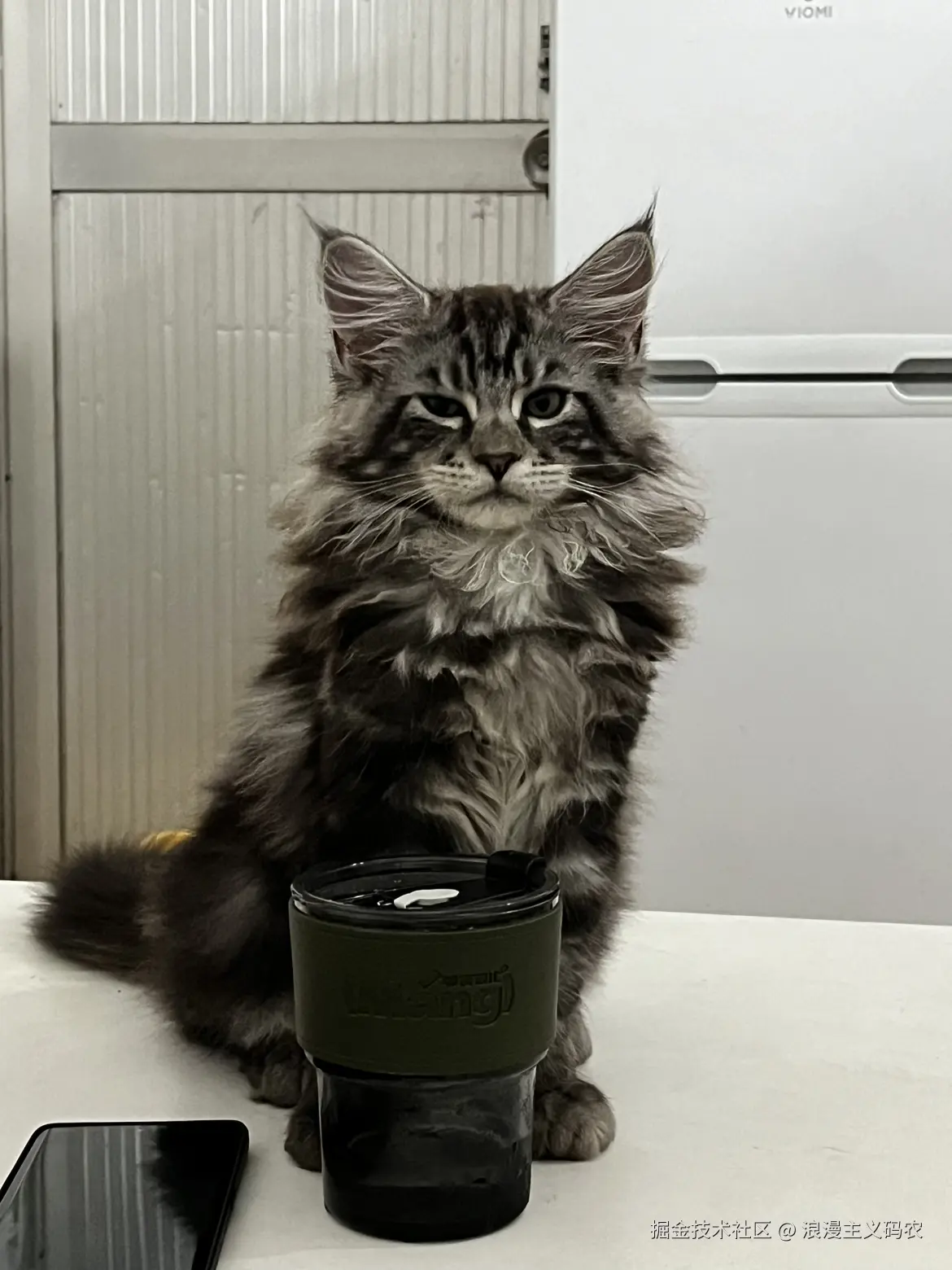 浪漫主义码农于2024-08-27 11:27发布的图片