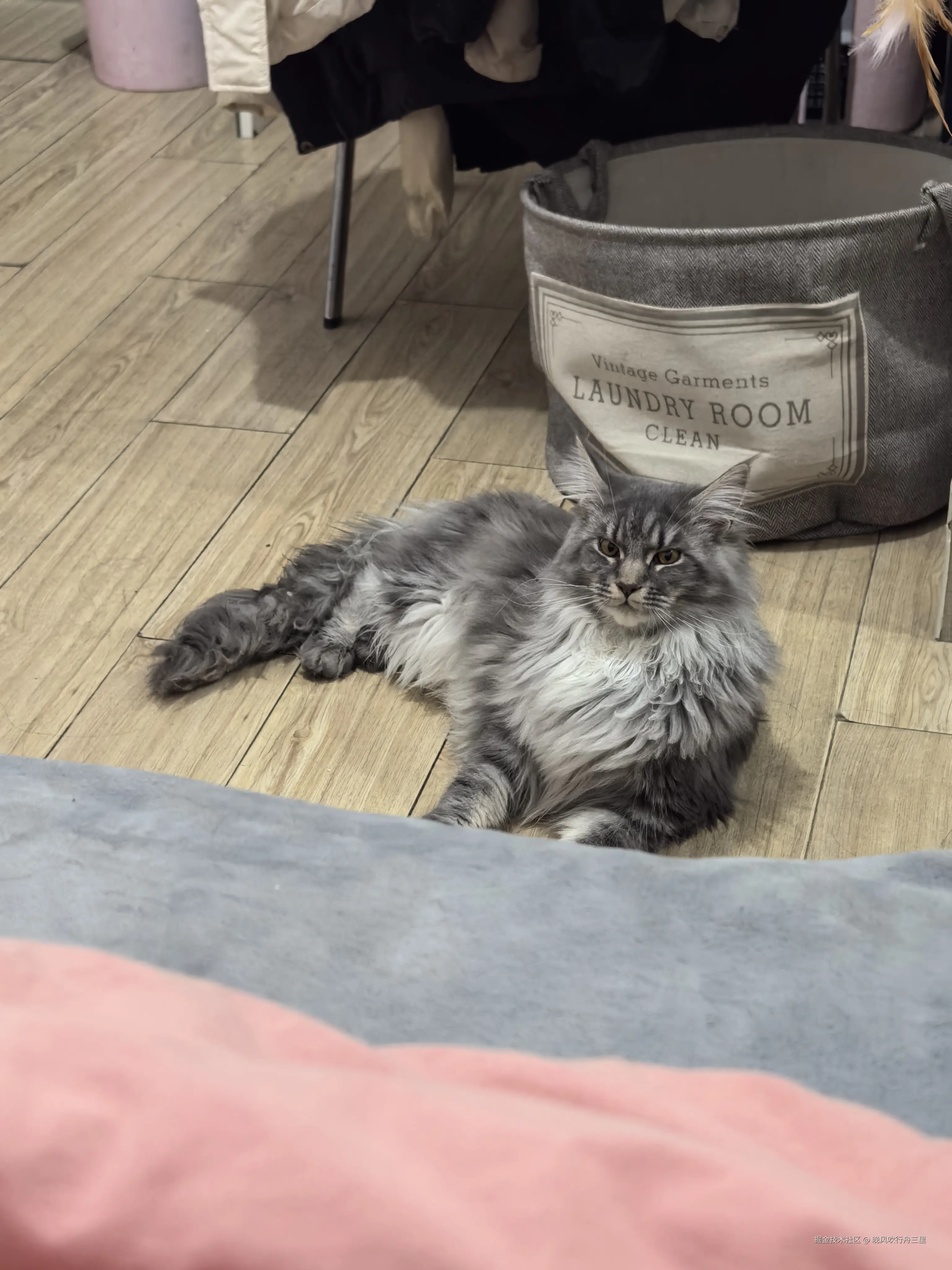 晚风吹行舟三里于2025-01-23 23:01发布的图片