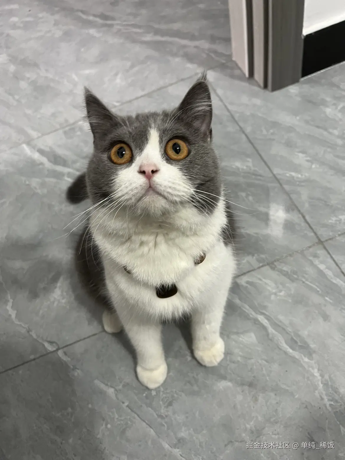 单纯_稀饭于2024-09-06 07:34发布的图片