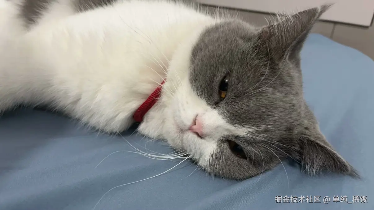 单纯_稀饭于2026-08-31 01:36发布的图片