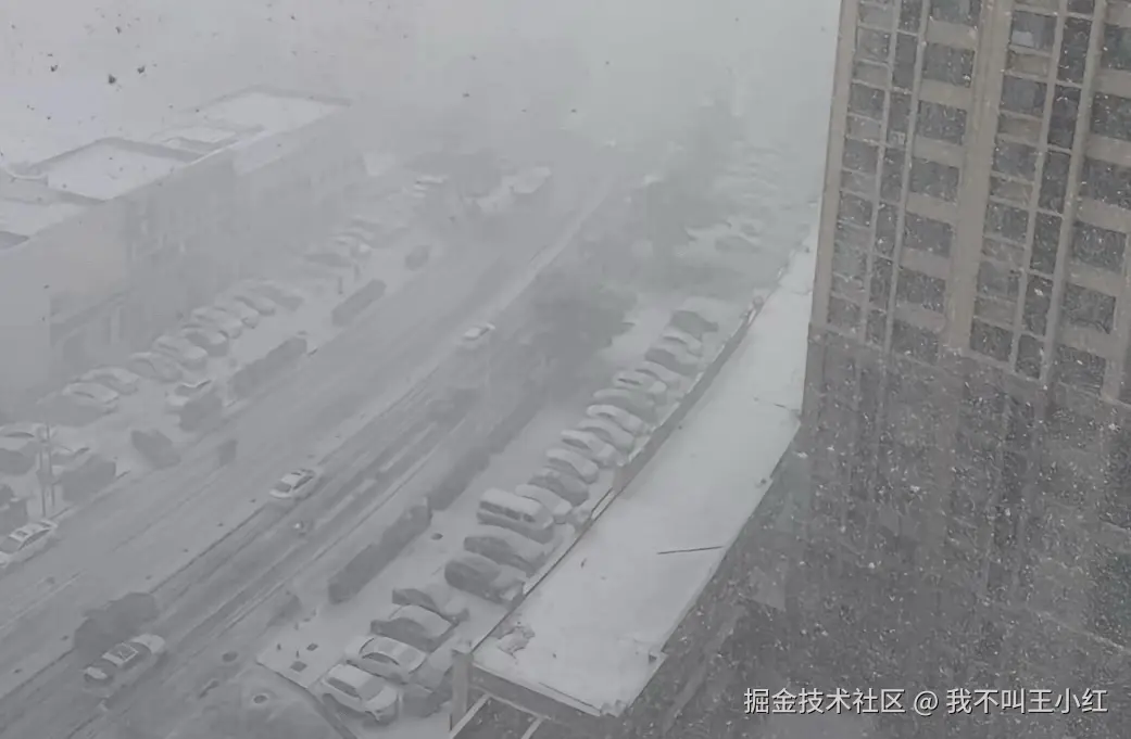 我不叫王小红于2025-01-09 11:59发布的图片