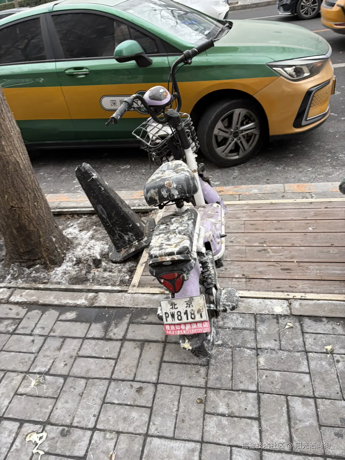 阳光洒向狗_于2026-01-30 14:09发布的图片