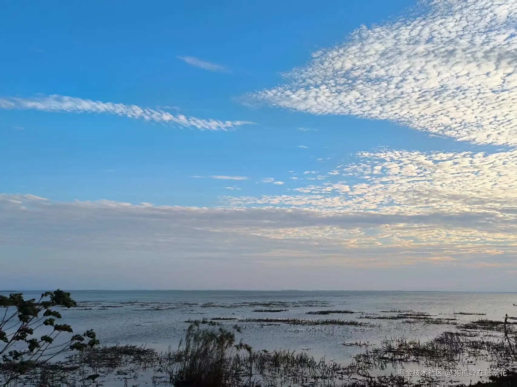 狗熊岭在逃翠花于2025-04-07 15:21发布的图片