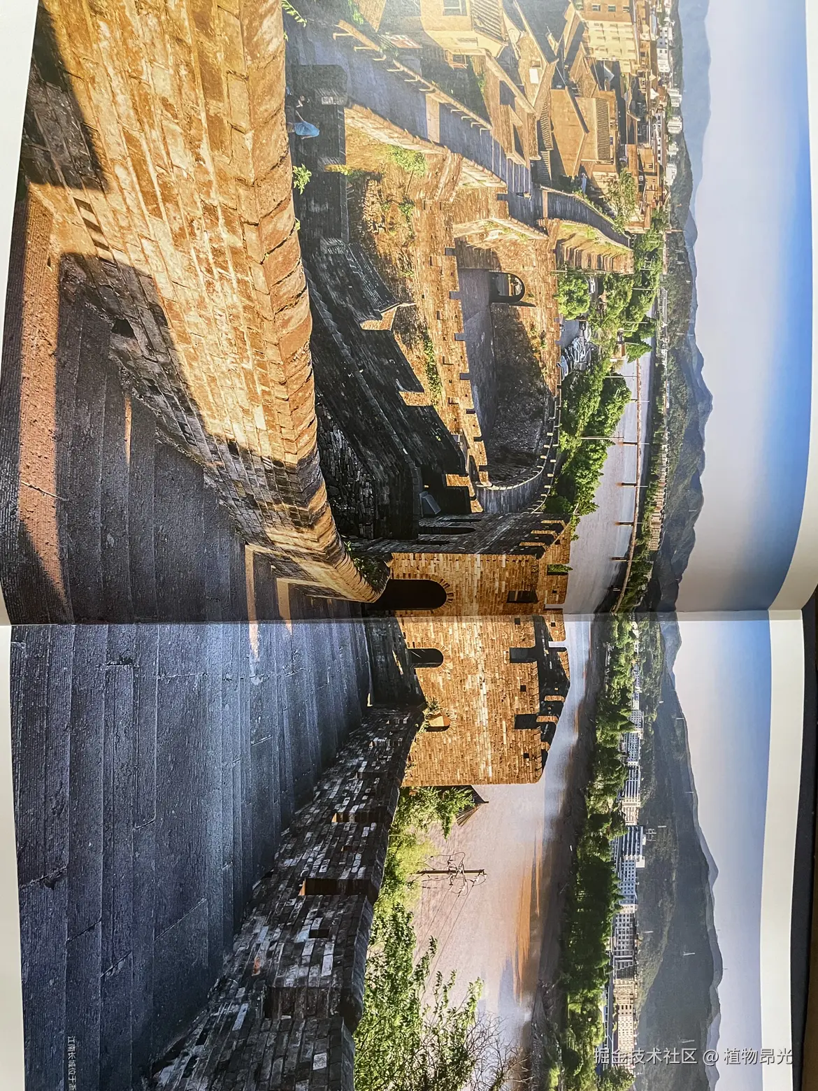 植物昂光于2026-04-16 20:32发布的图片