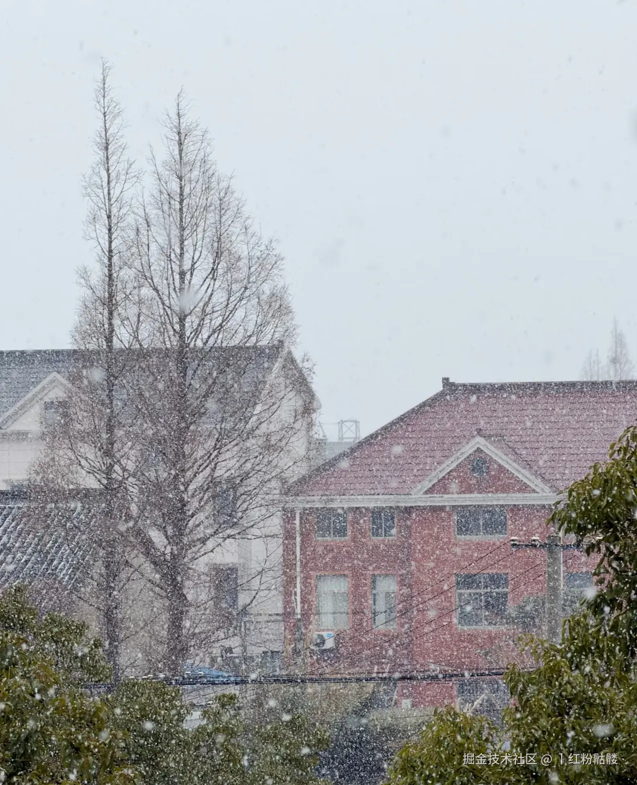 丨红粉骷髅于2026-01-20 12:28发布的图片