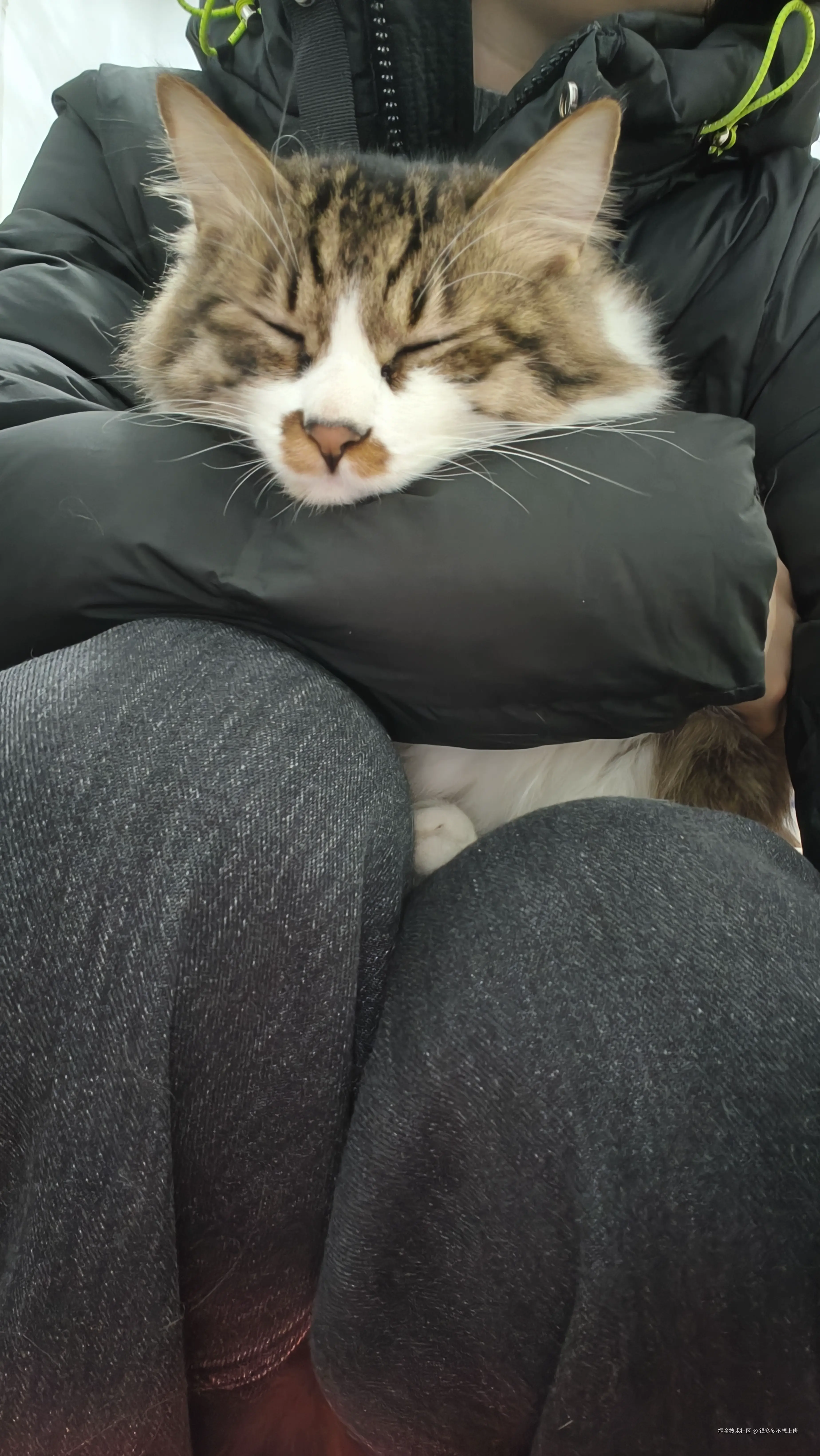 钱多多不想上班于2026-01-21 10:58发布的图片