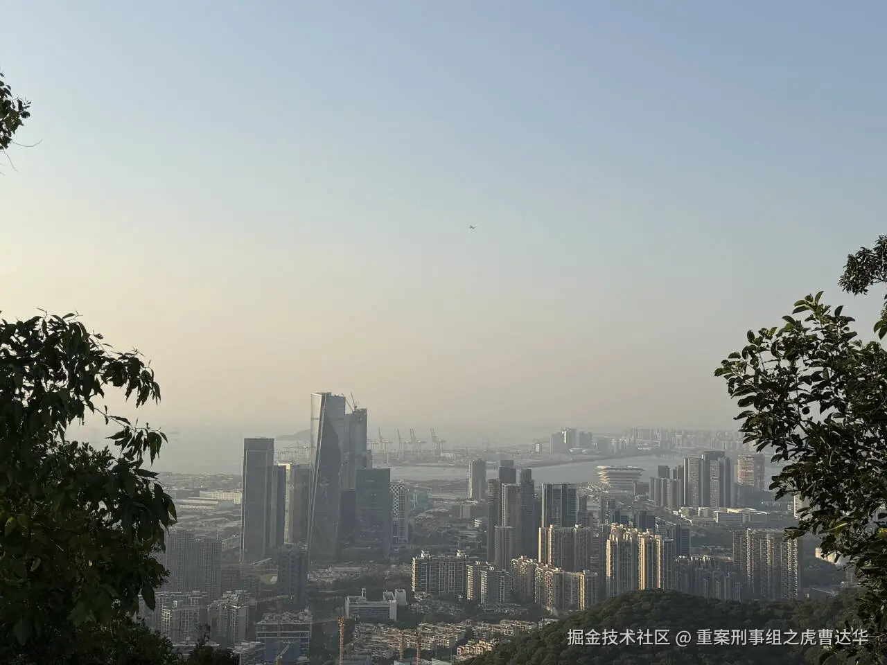 重案刑事组之虎曹达华于2025-12-09 02:01发布的图片