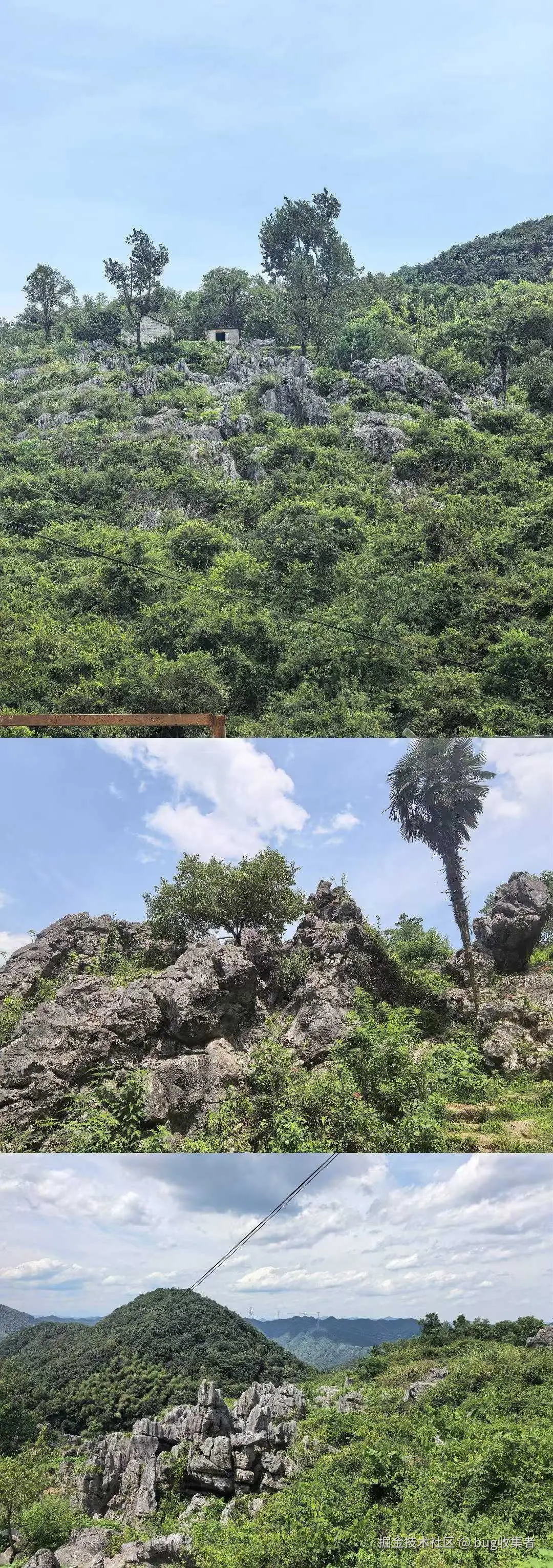 bug收集者于2025-08-11 11:32发布的图片