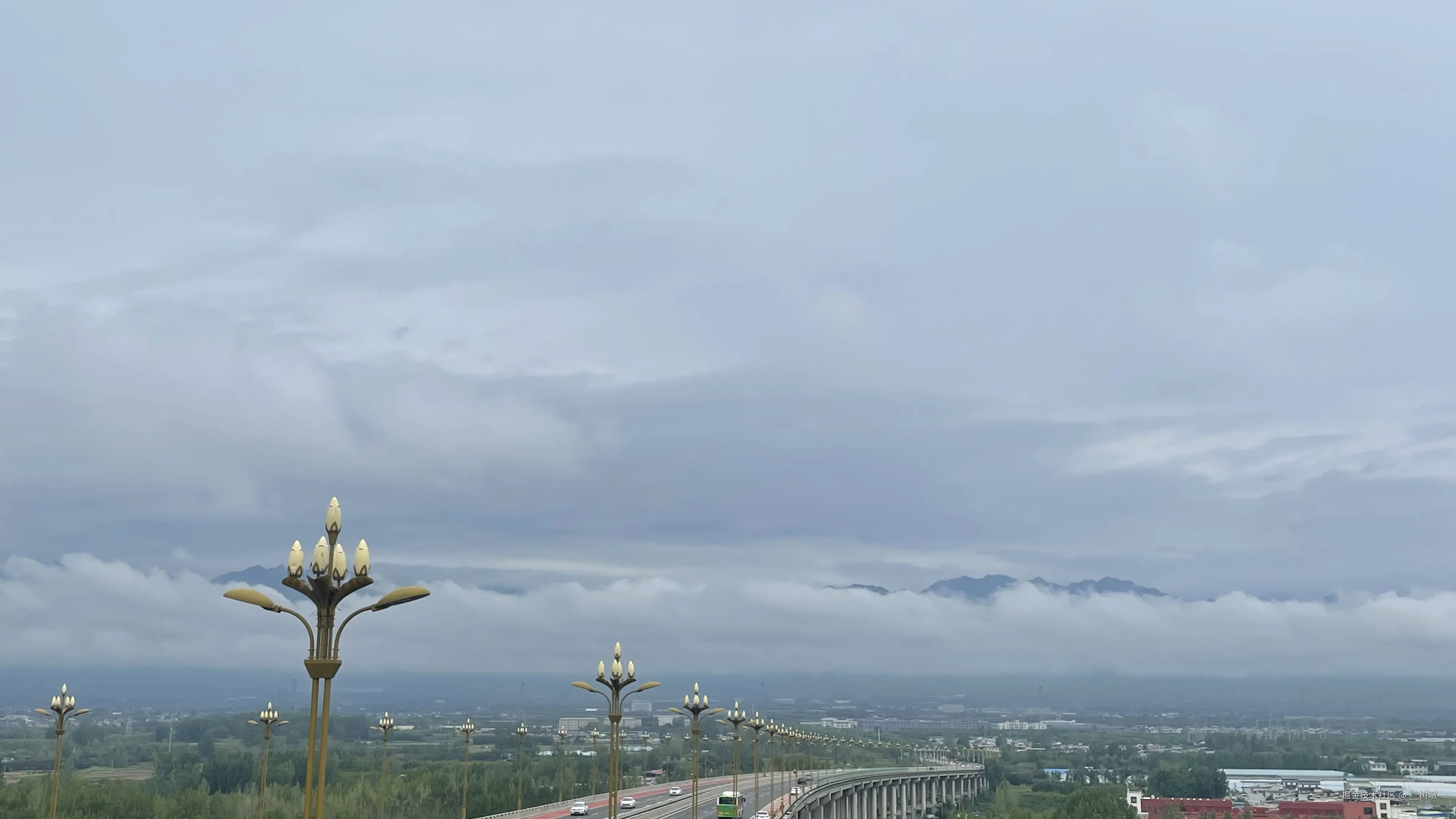 __树墩于2025-07-21 10:20发布的图片