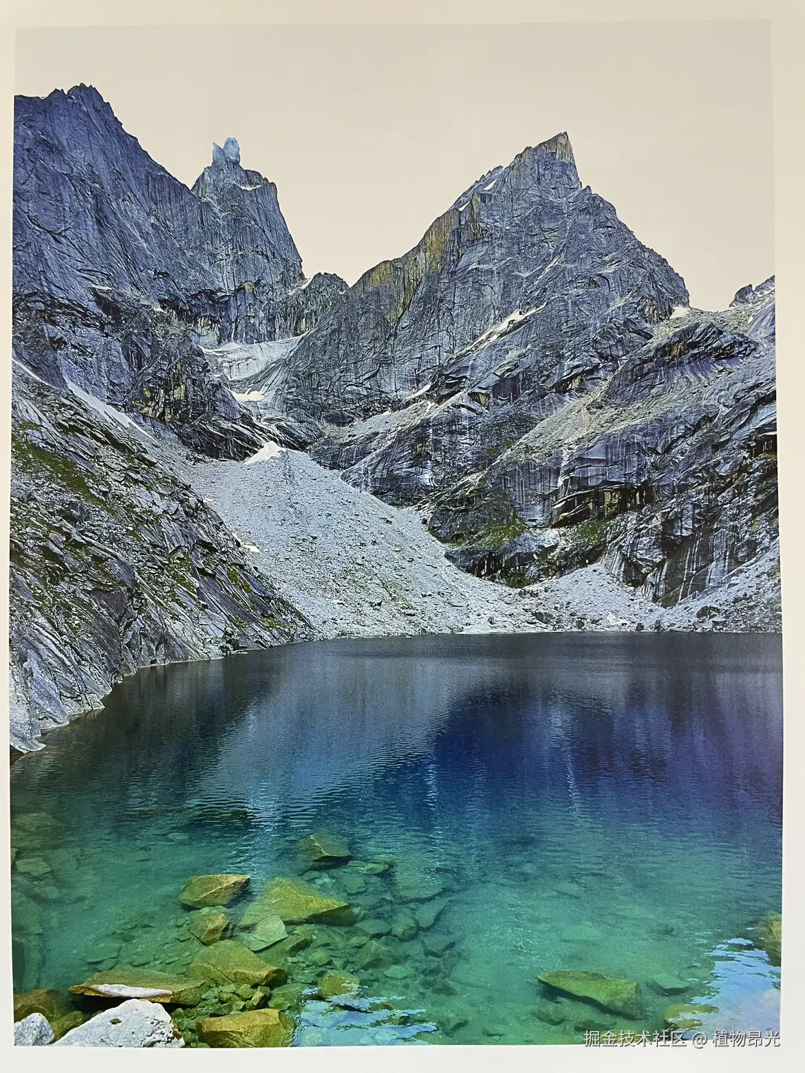 植物昂光于2026-03-14 12:18发布的图片