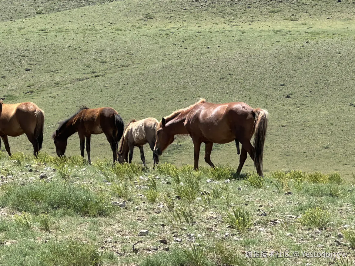Yestodorrow于2024-08-04 15:32发布的图片