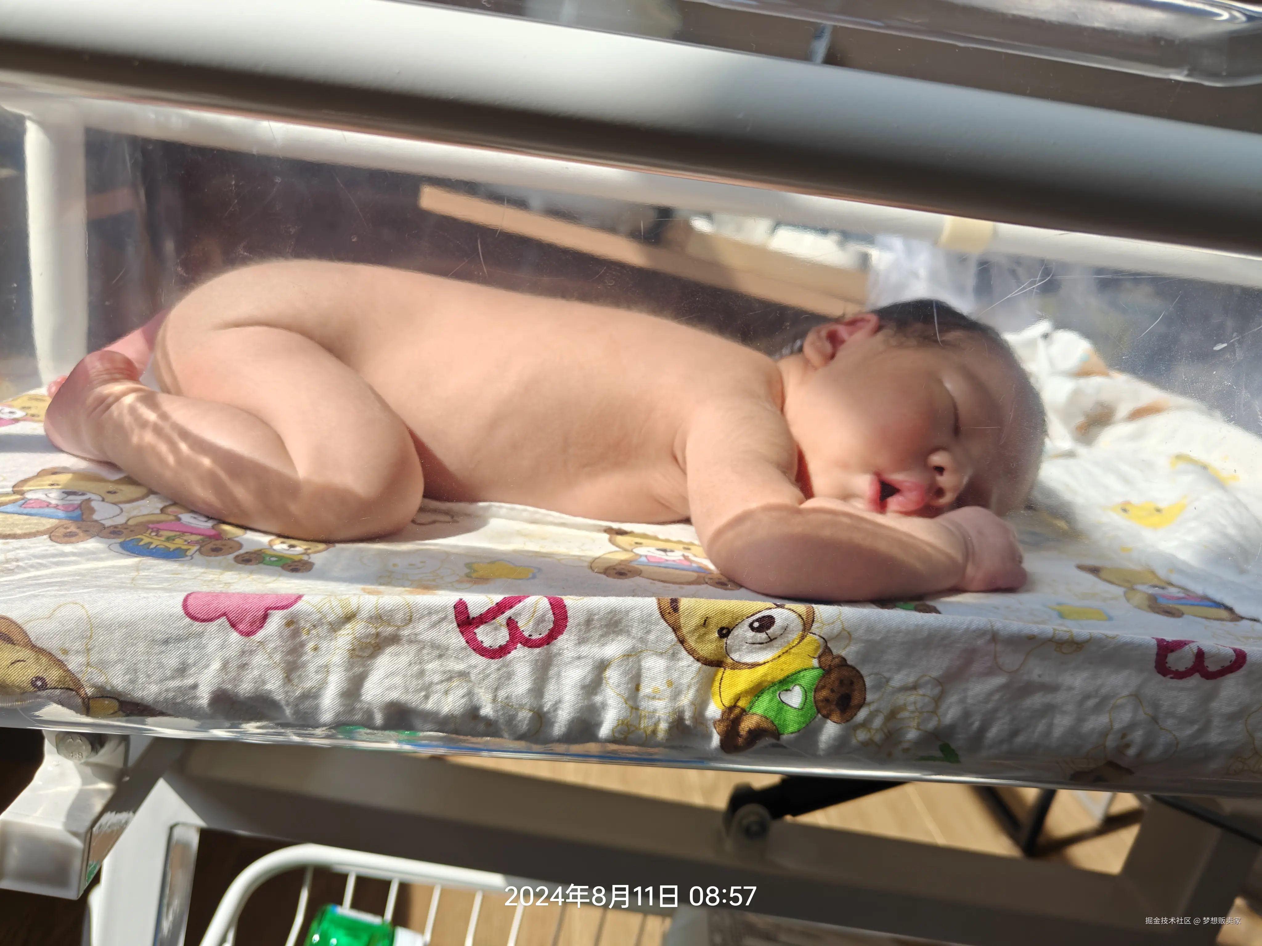 梦想贩卖家于2024-08-23 09:06发布的图片