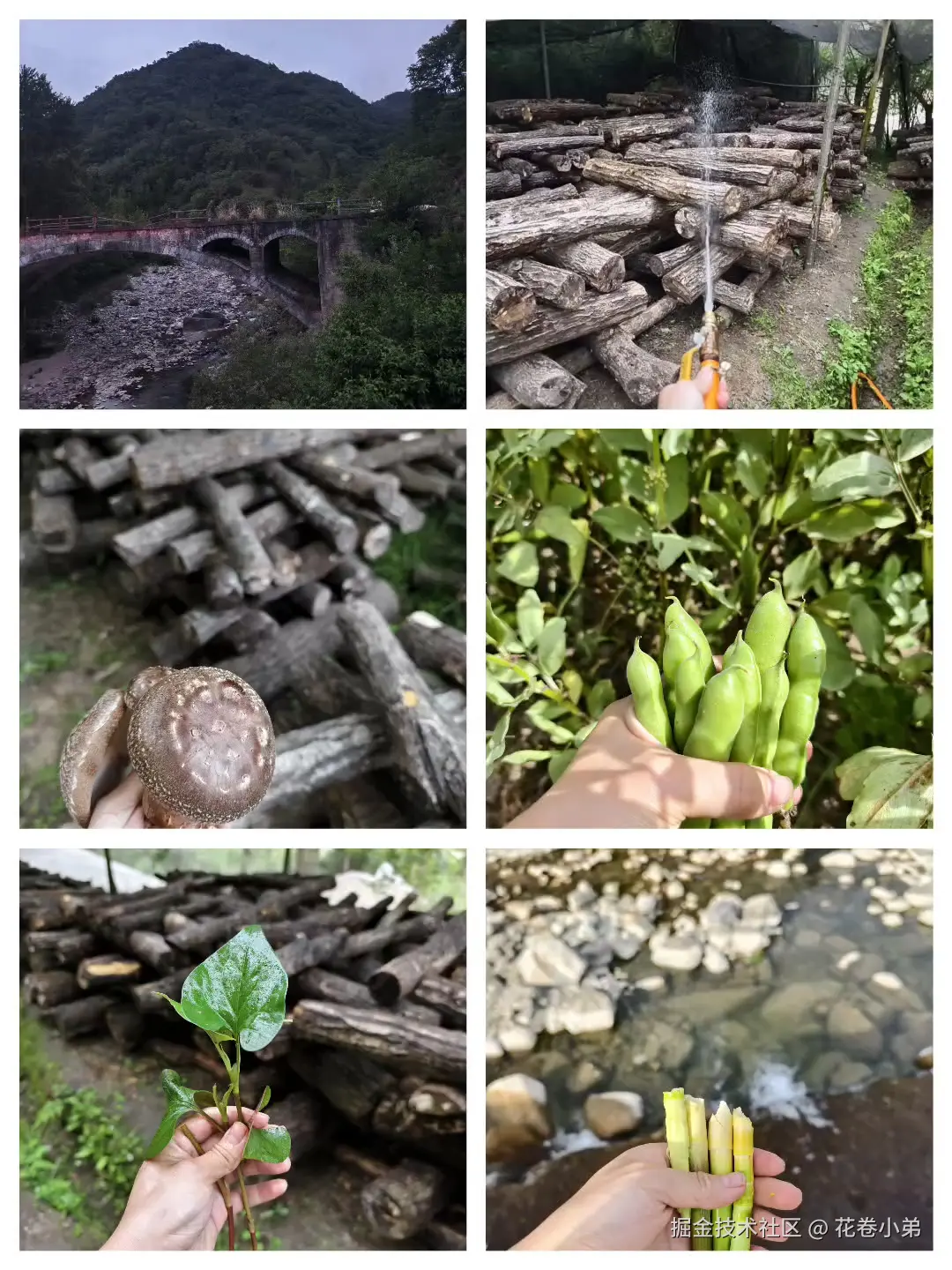 花卷小弟于2025-05-07 11:43发布的图片