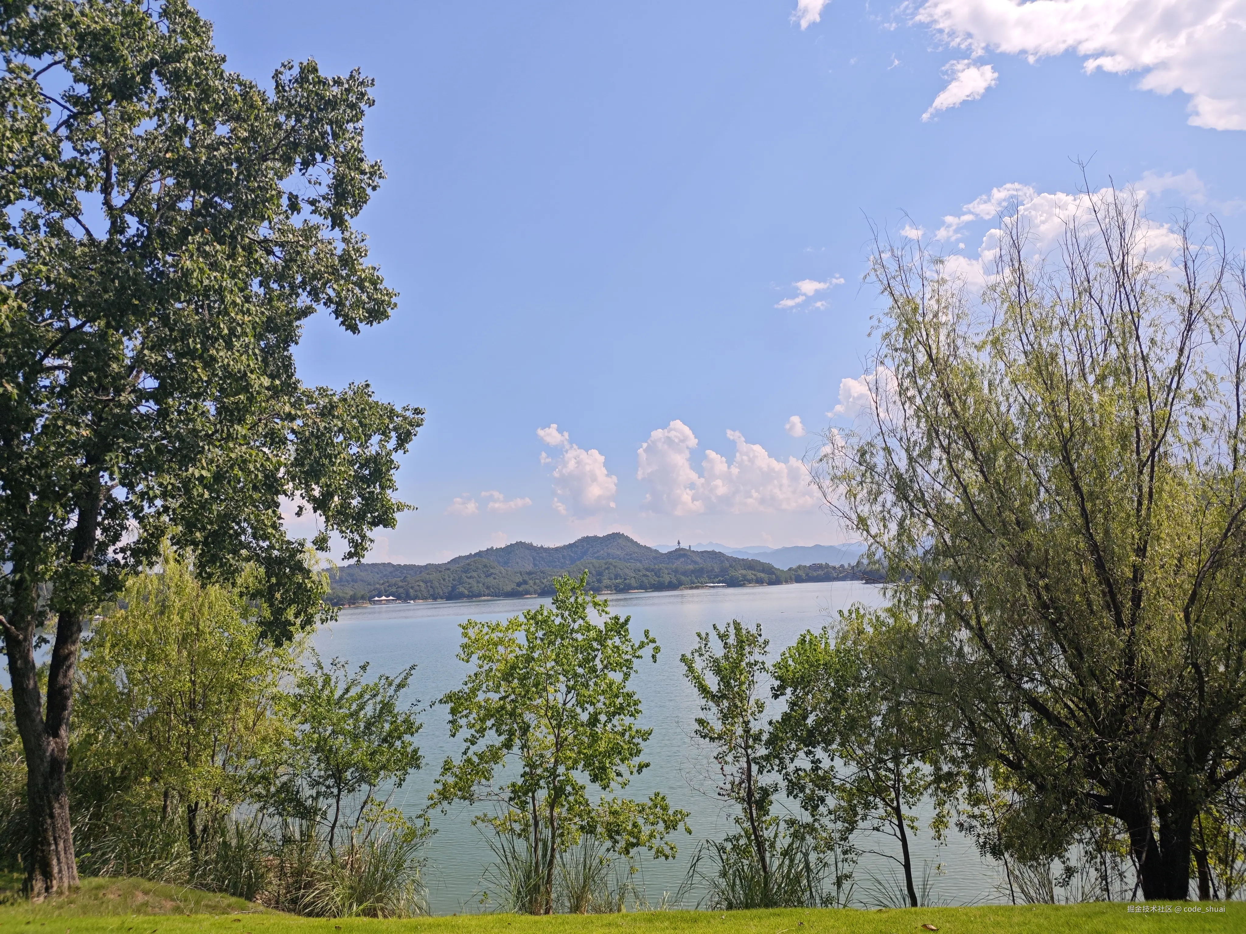 code_shuai于2025-09-15 14:01发布的图片