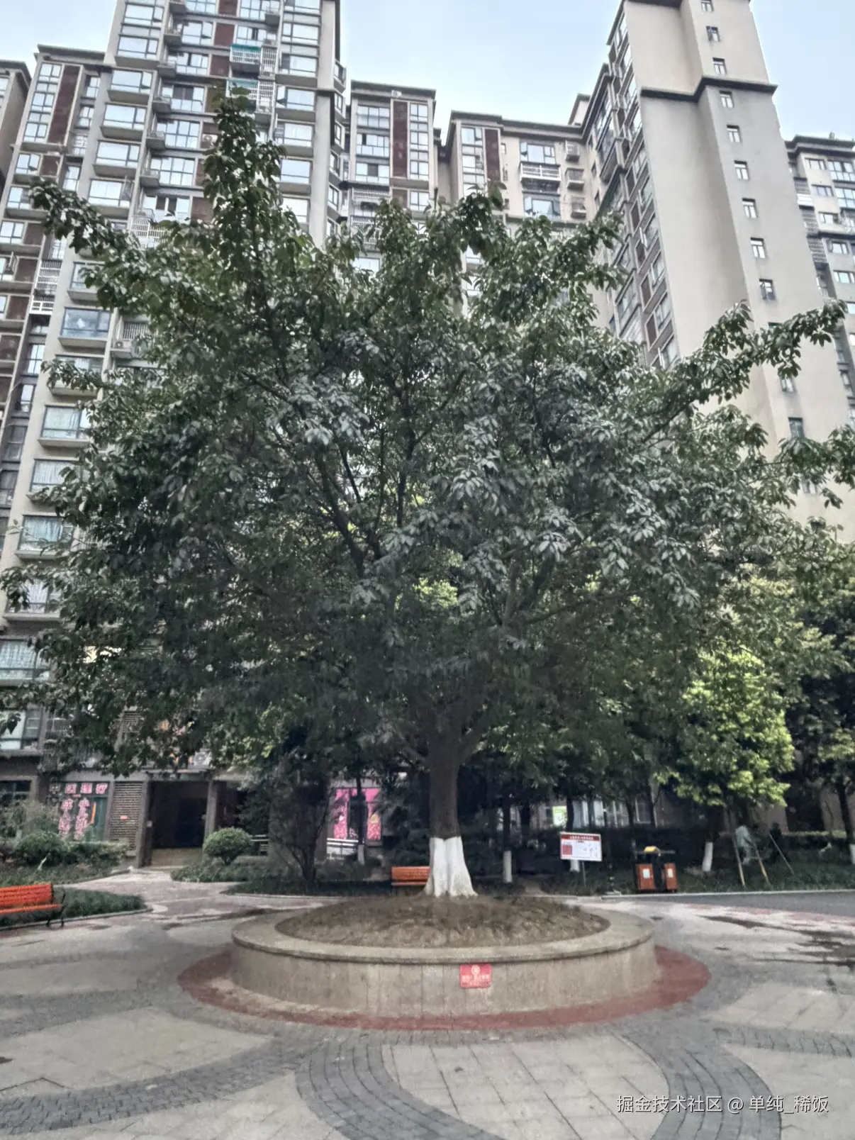 单纯_稀饭于2026-03-25 08:11发布的图片