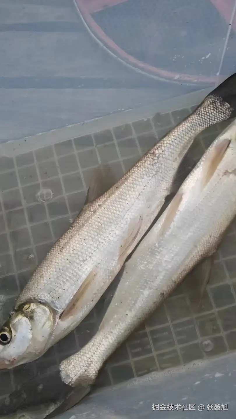 张鑫旭于2025-08-06 14:20发布的图片