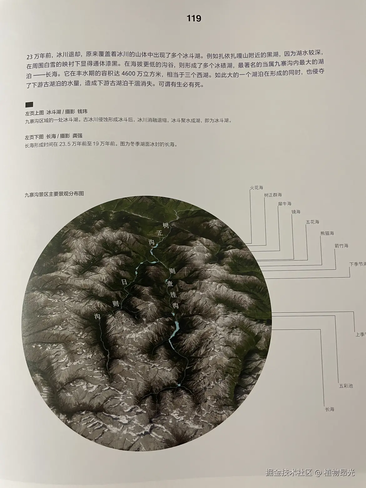 植物昂光于2026-03-10 21:49发布的图片