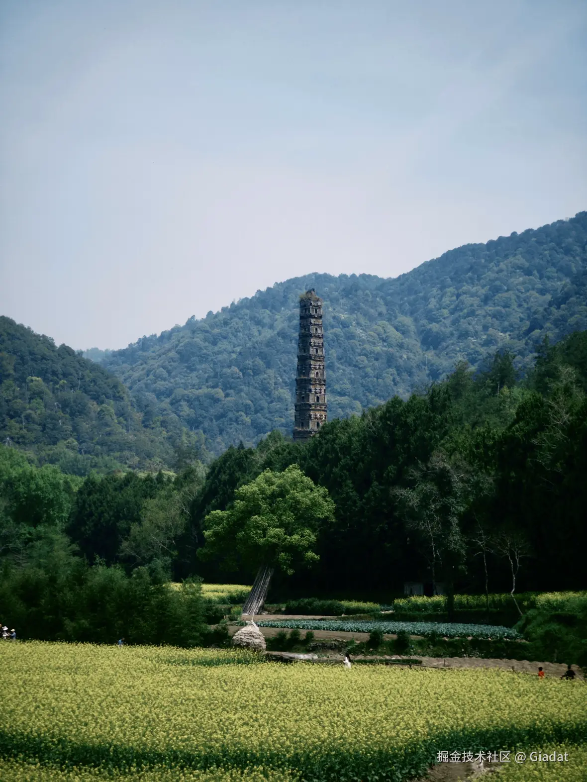 Giadat于2025-04-08 15:11发布的图片