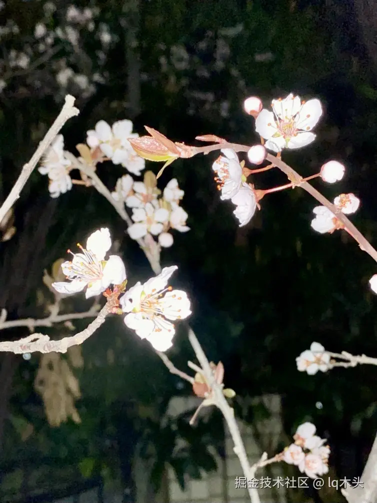 lq木头于2025-03-18 08:21发布的图片