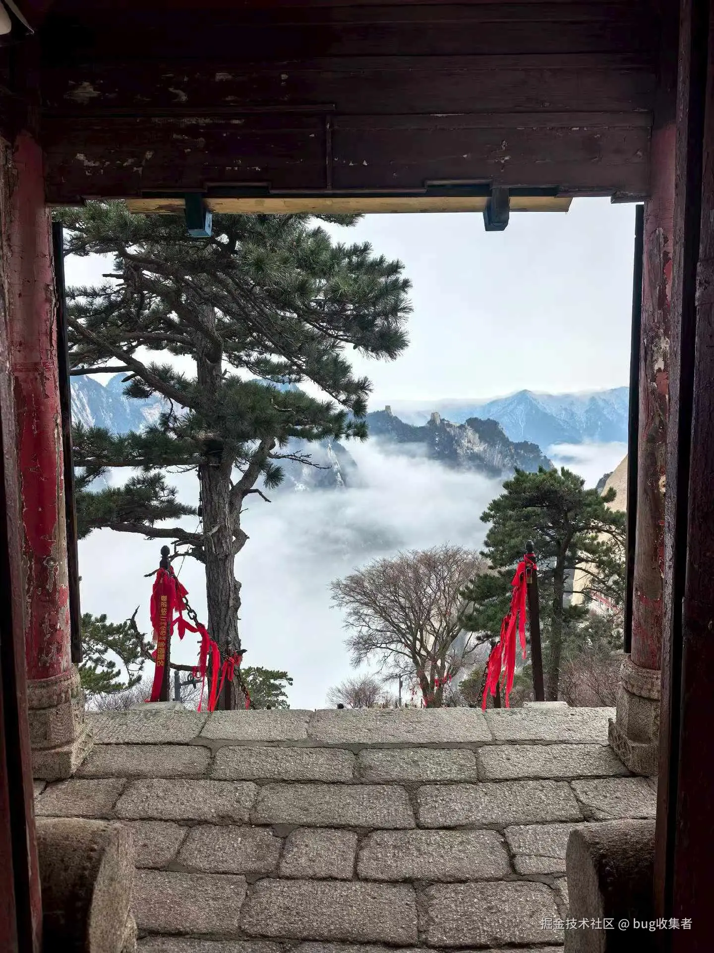 bug收集者于2026-03-09 08:27发布的图片