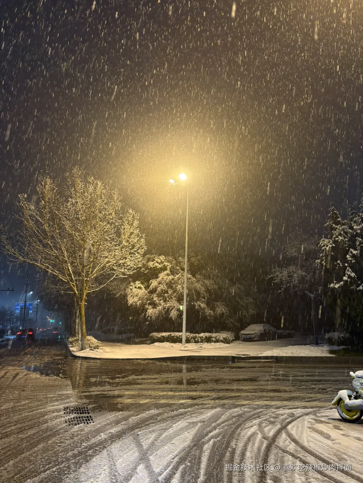 喜欢吃辣椒炒肉拌面于2026-03-02 00:33发布的图片
