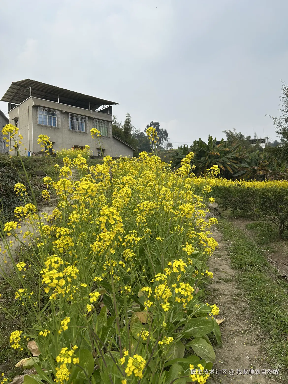 我要睡到自然醒于2026-02-27 15:27发布的图片