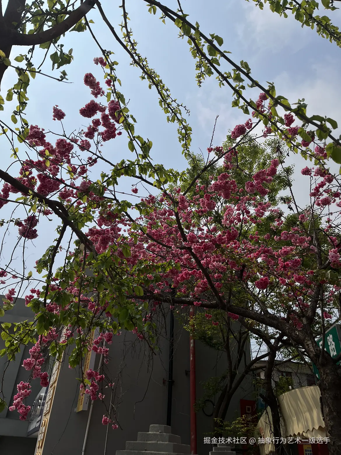 抽象行为艺术一级选手于2026-03-11 19:06发布的图片