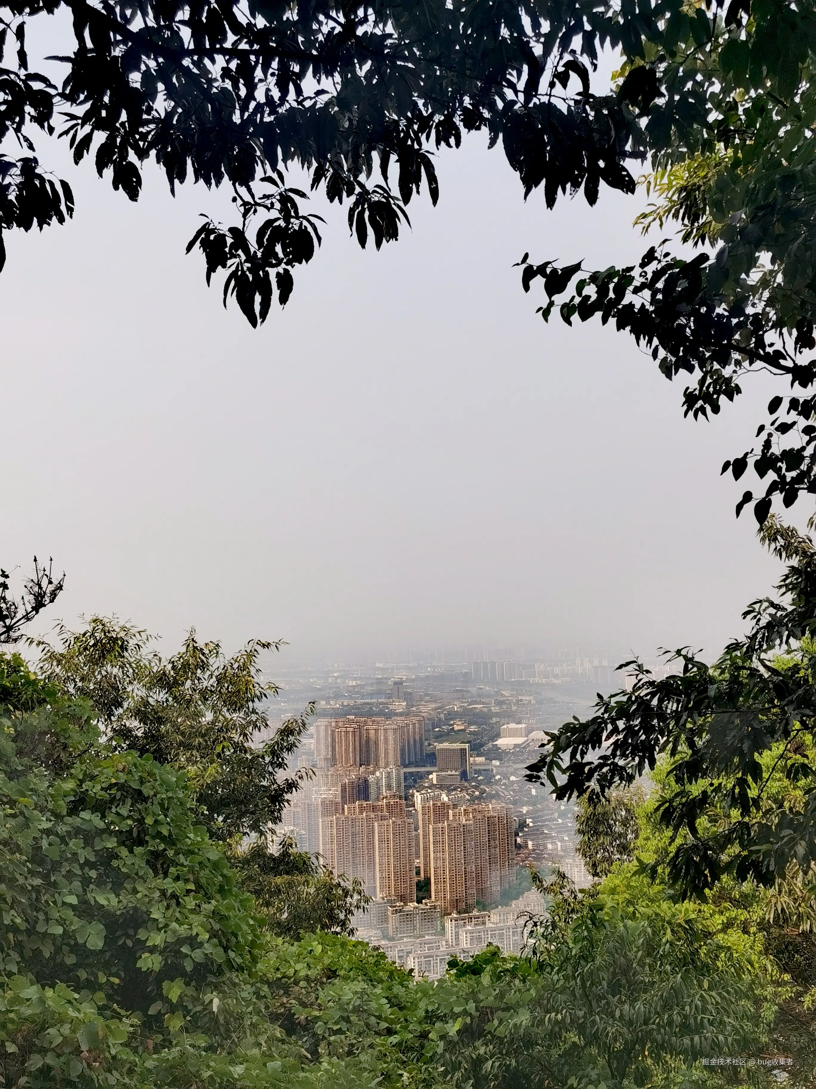 bug收集者于2024-09-02 13:48发布的图片