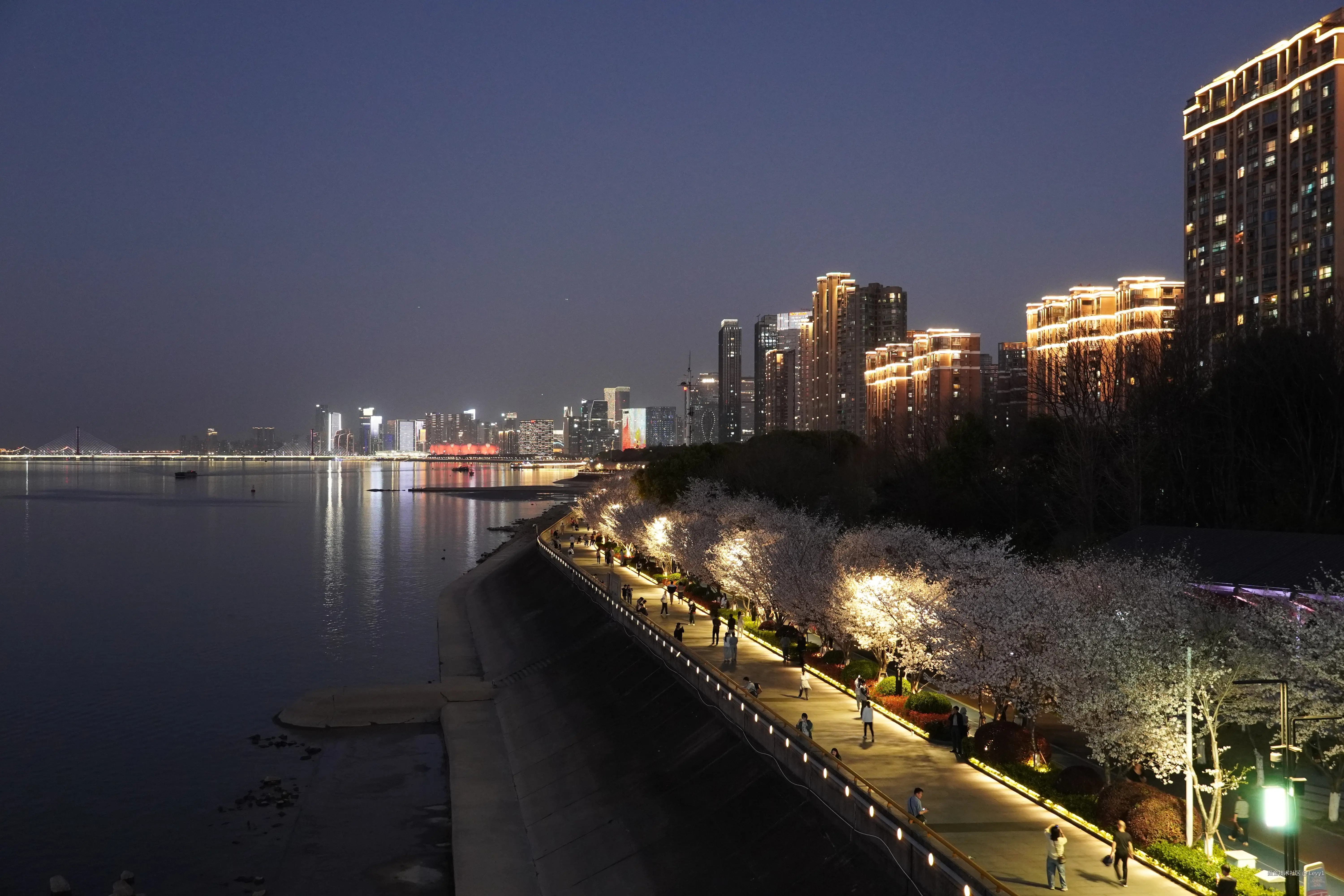 Levy1于2025-03-26 10:55发布的图片