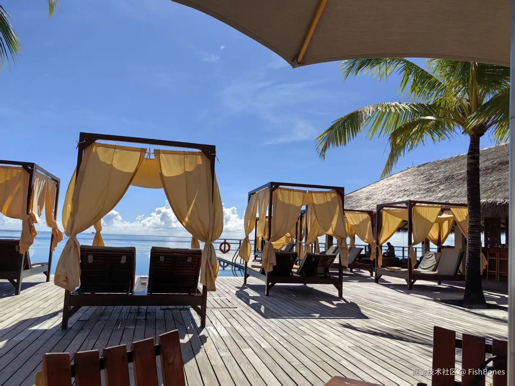 FishBones于2025-10-09 15:46发布的图片