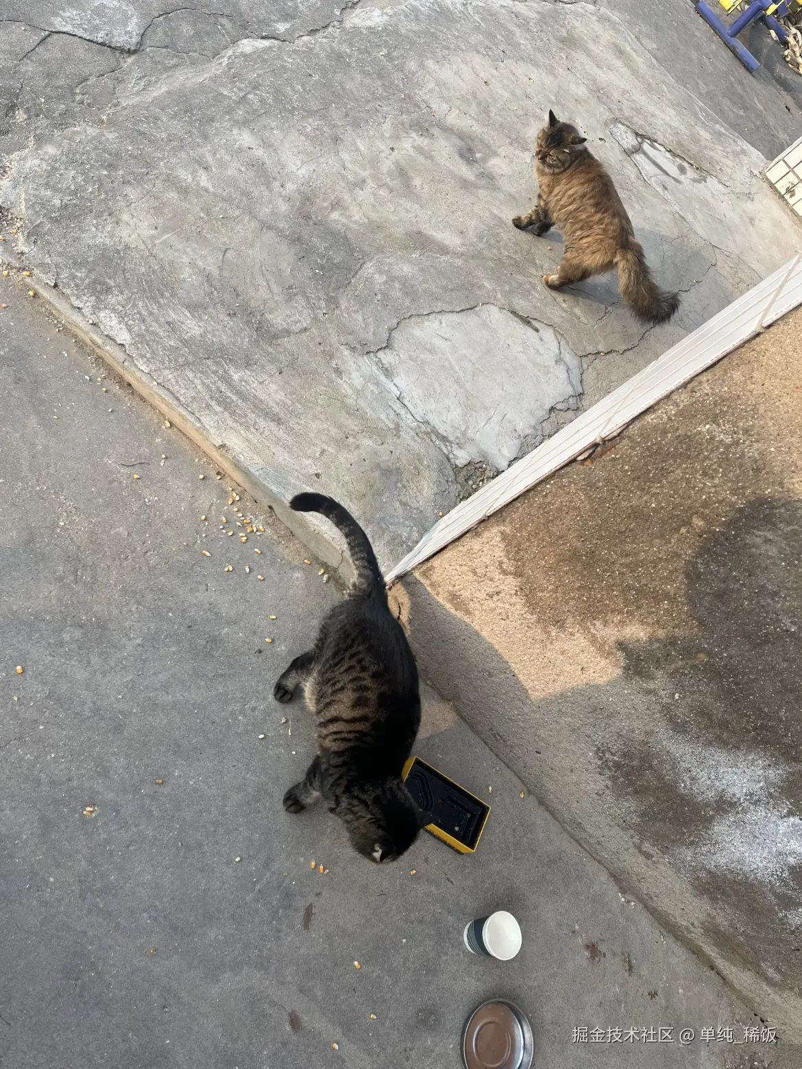 单纯_稀饭于2025-11-04 08:34发布的图片