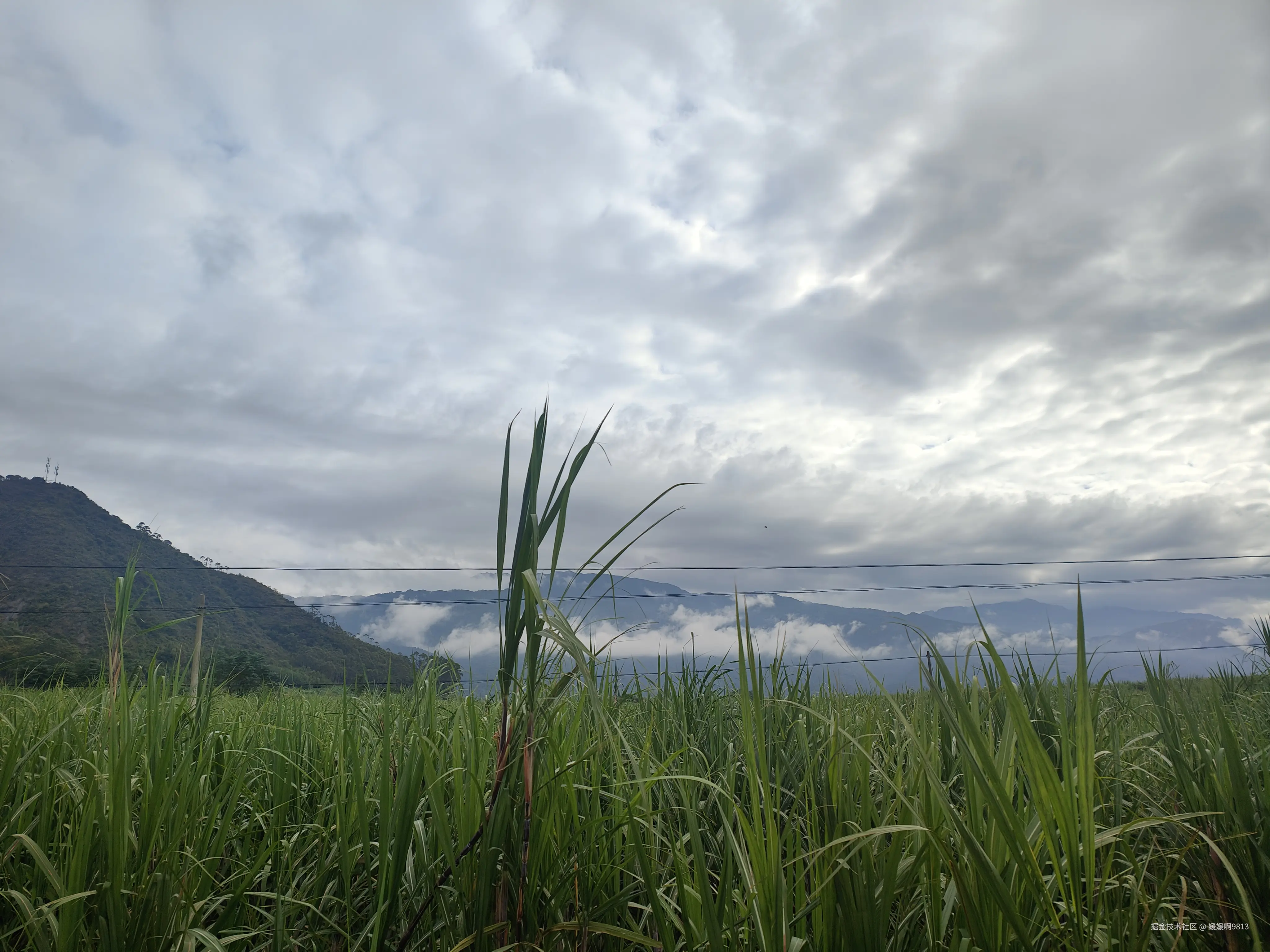 媛媛啊9813于2025-11-08 22:51发布的图片