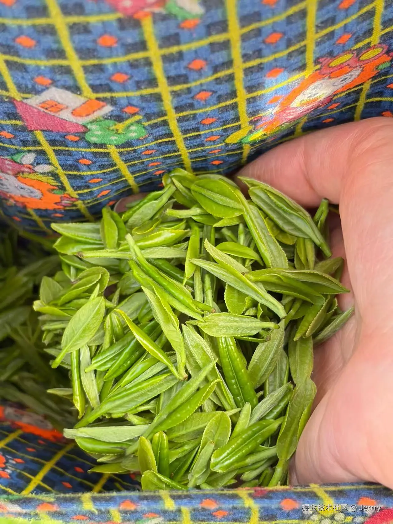 Jerrry于2026-04-09 10:58发布的图片